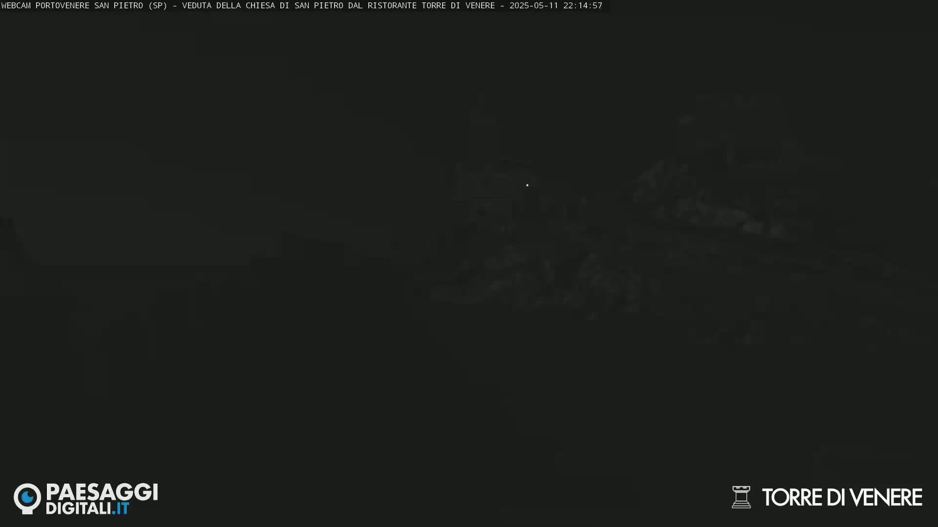 A dark, nighttime outdoor scene shows a dimly lit landscape.