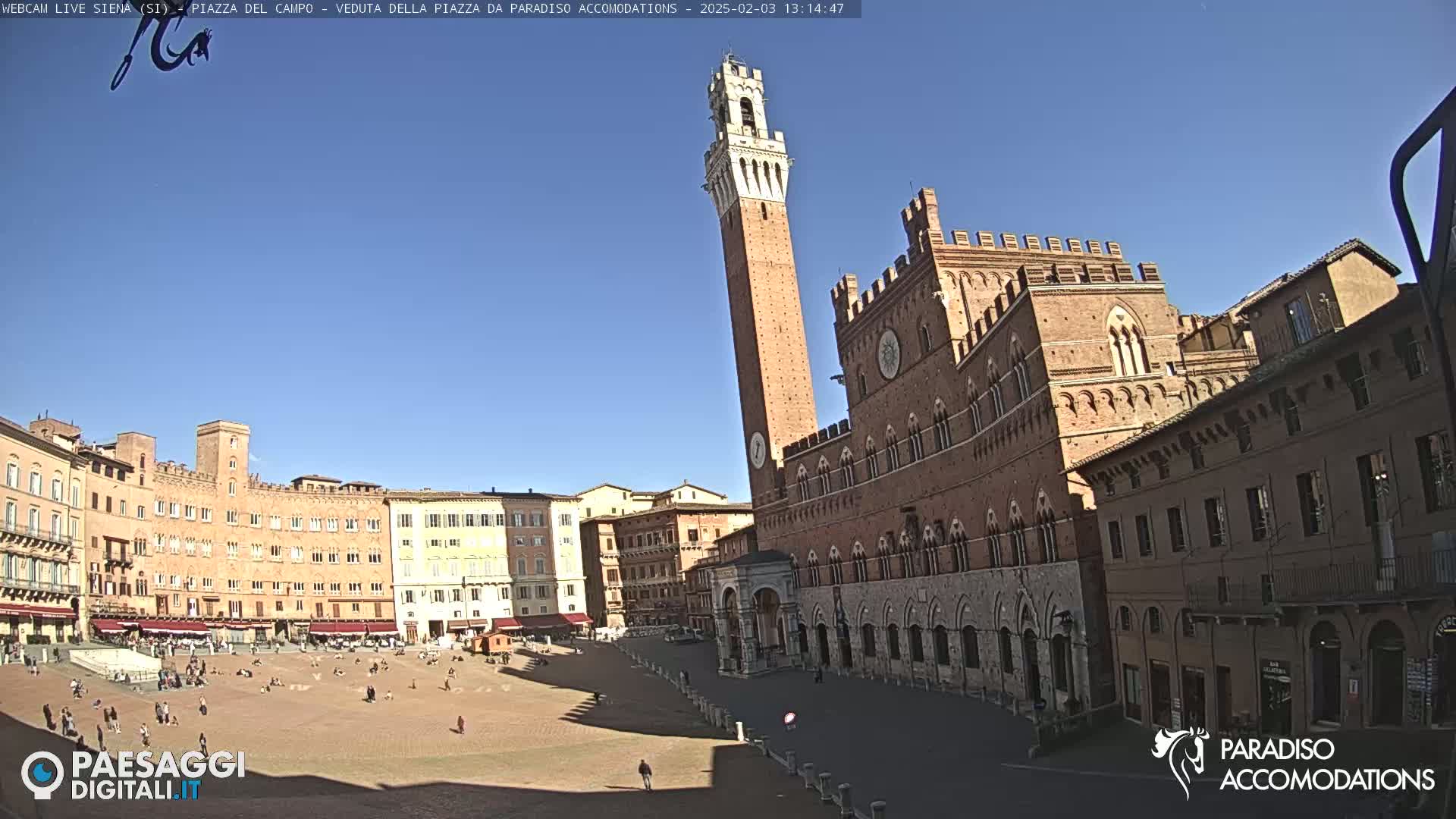 A large, brick piazza in Siena, Italy is shown on a sunny day with a tall tower and several historic buildings surrounding a mostly empty square.