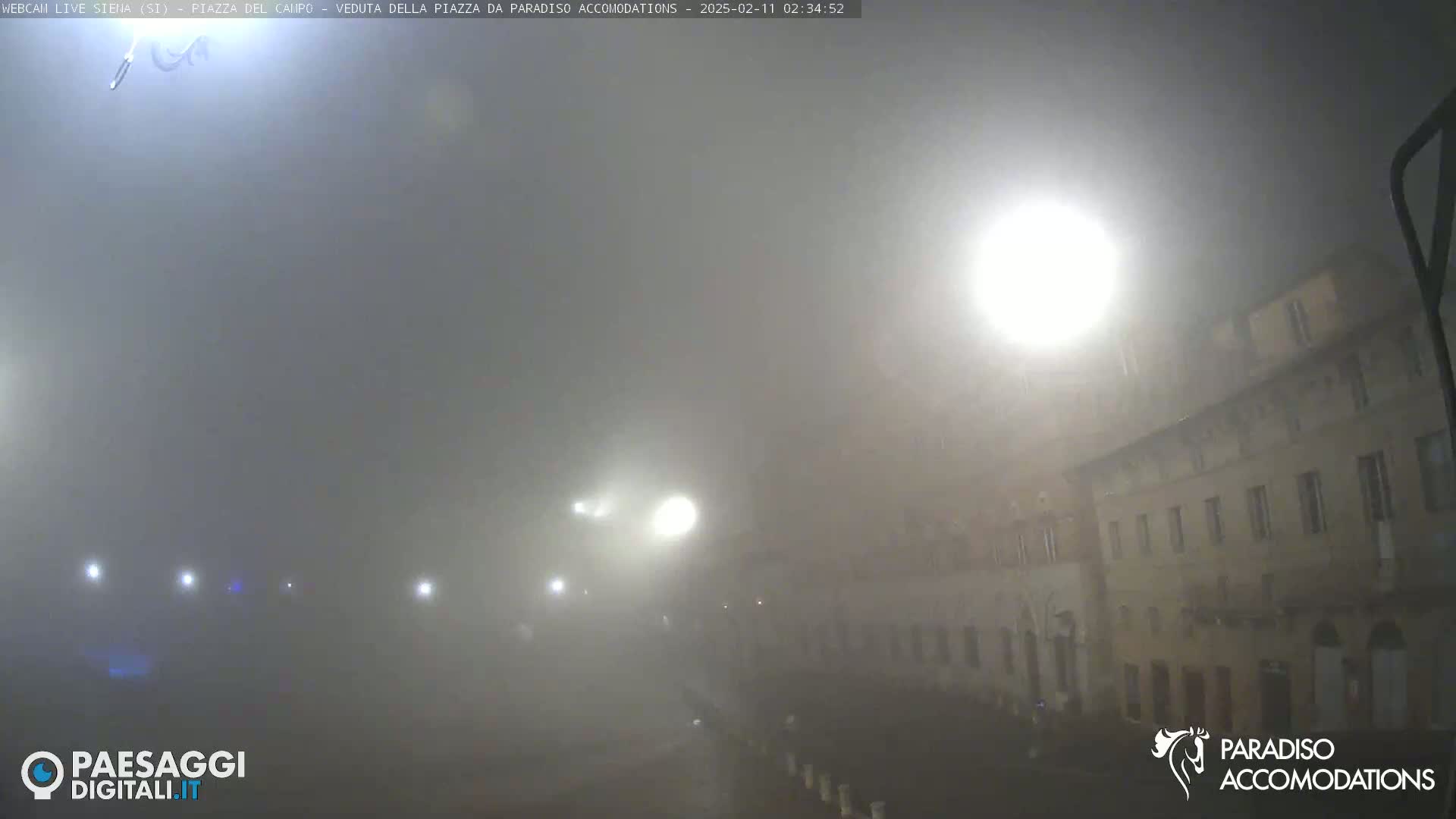 A foggy night scene shows a city square with buildings faintly visible under bright streetlights.