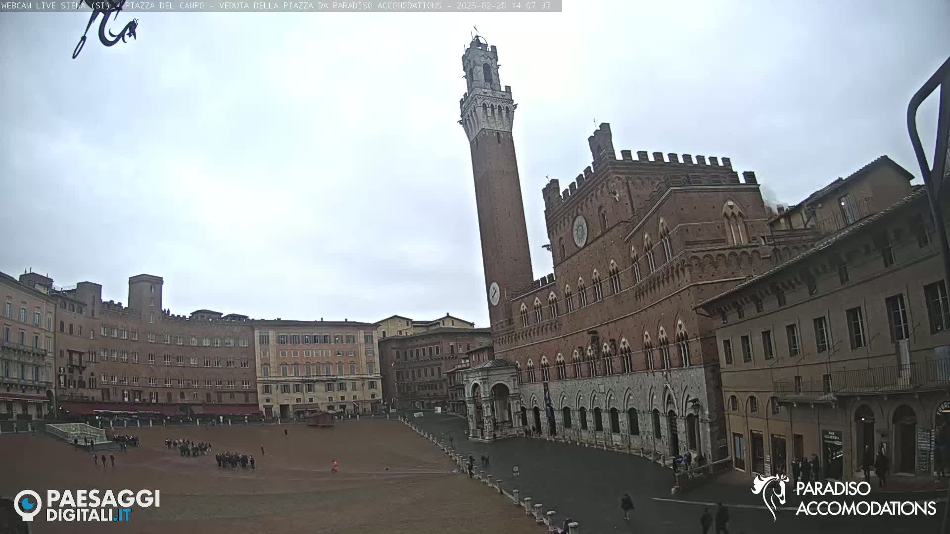 A large, brick public square in Siena, Italy, is shown on an overcast day, with a tall tower and a large palace dominating the scene.
