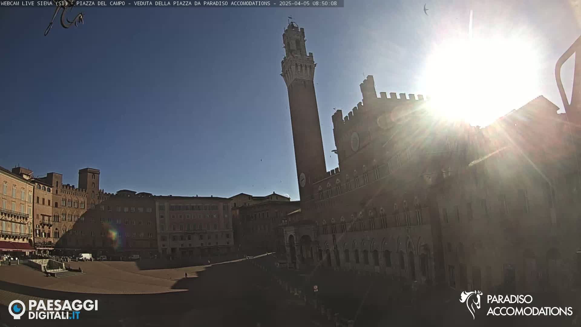 A sunny day reveals a large, empty plaza surrounded by historic brick buildings, with a tall tower standing prominently in the background.
