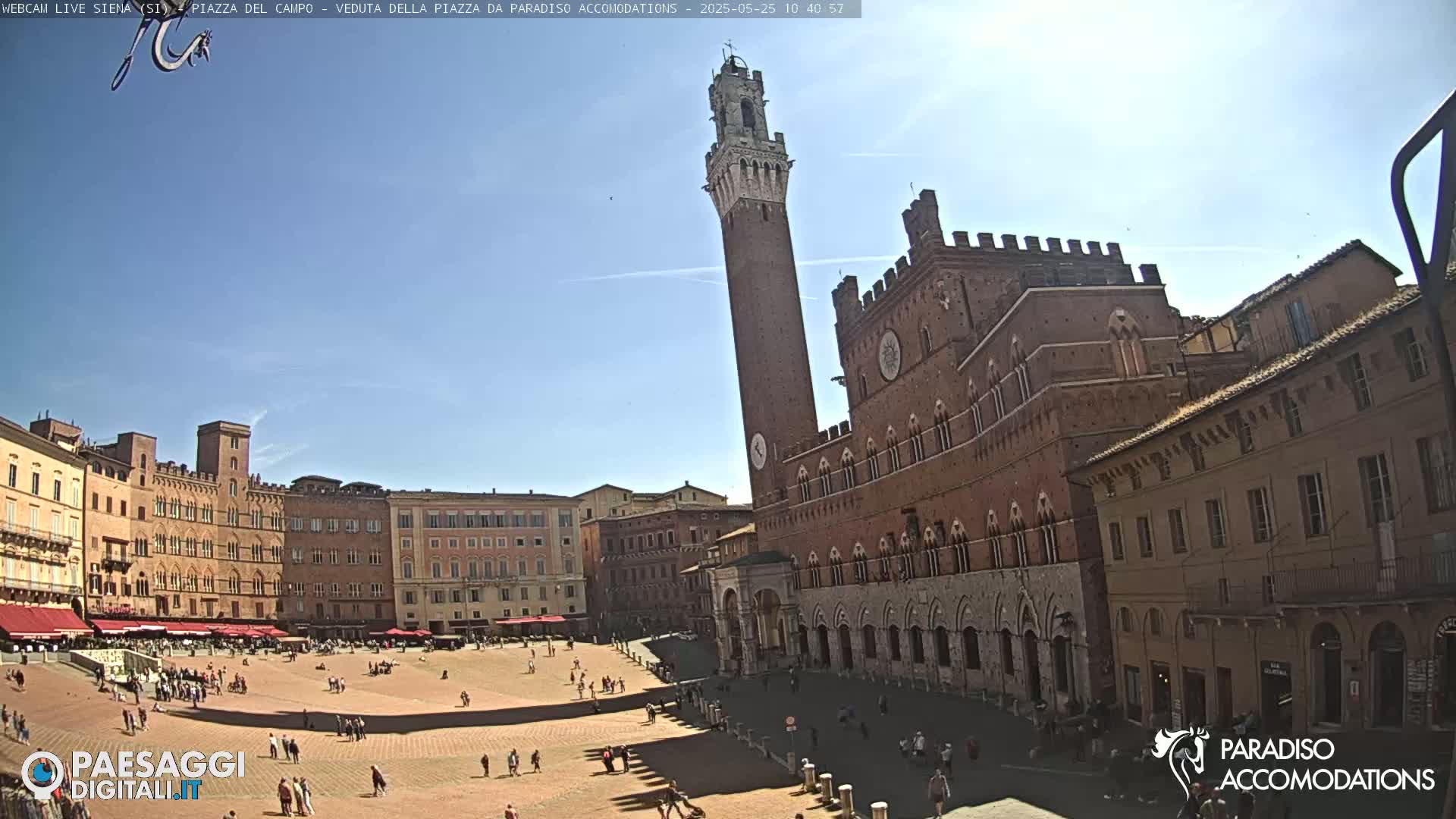 A large, brick piazza in Siena, Italy is shown on a sunny day, with a tall tower and several historic buildings surrounding the open space.