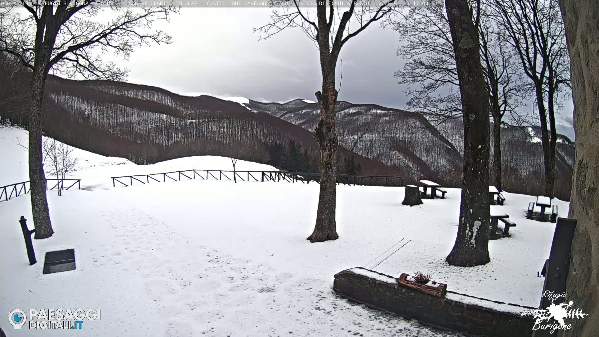 A snow-covered landscape with several picnic tables under bare trees and a mountainous backdrop under an overcast sky.