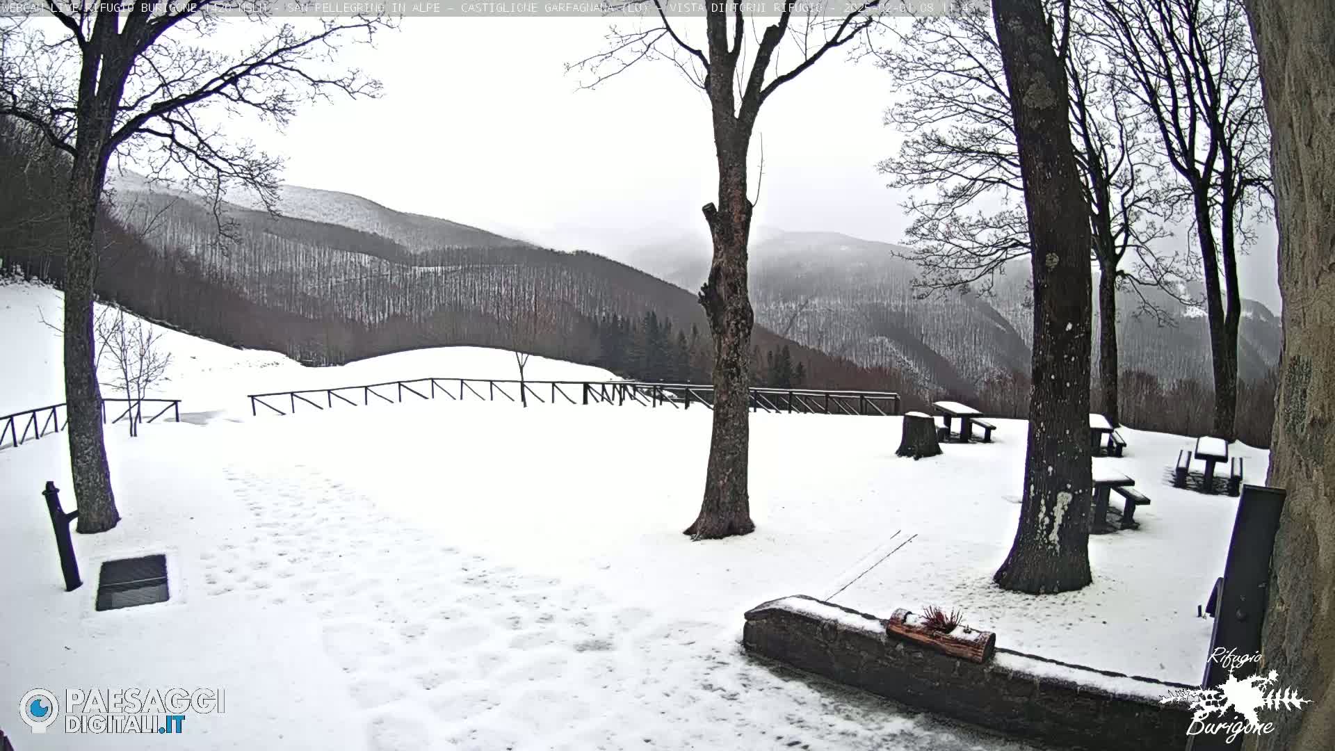 A snow-covered landscape with several picnic tables and trees, overlooking a distant mountain range under an overcast sky.