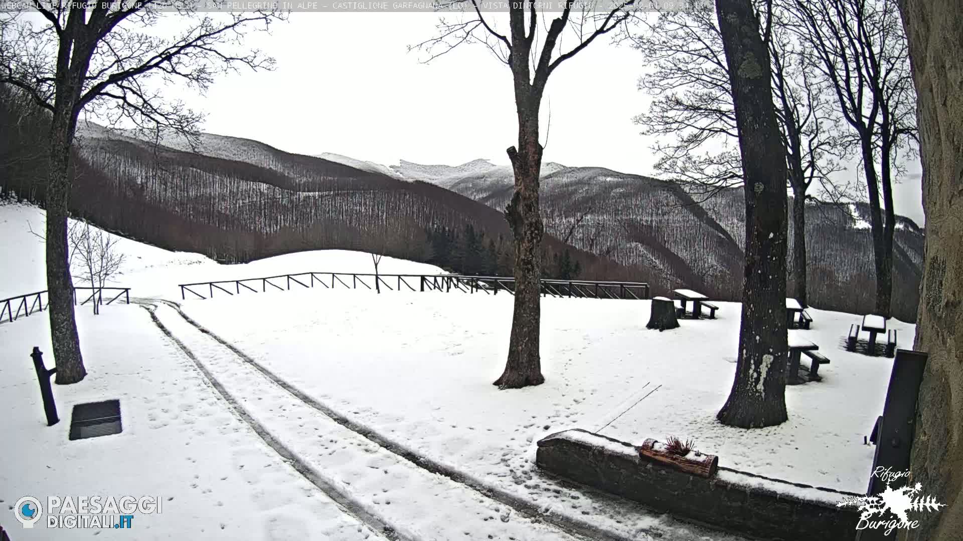 A snow-covered landscape with tire tracks leading to picnic tables under bare trees, overlooking a distant mountain range on an overcast day.