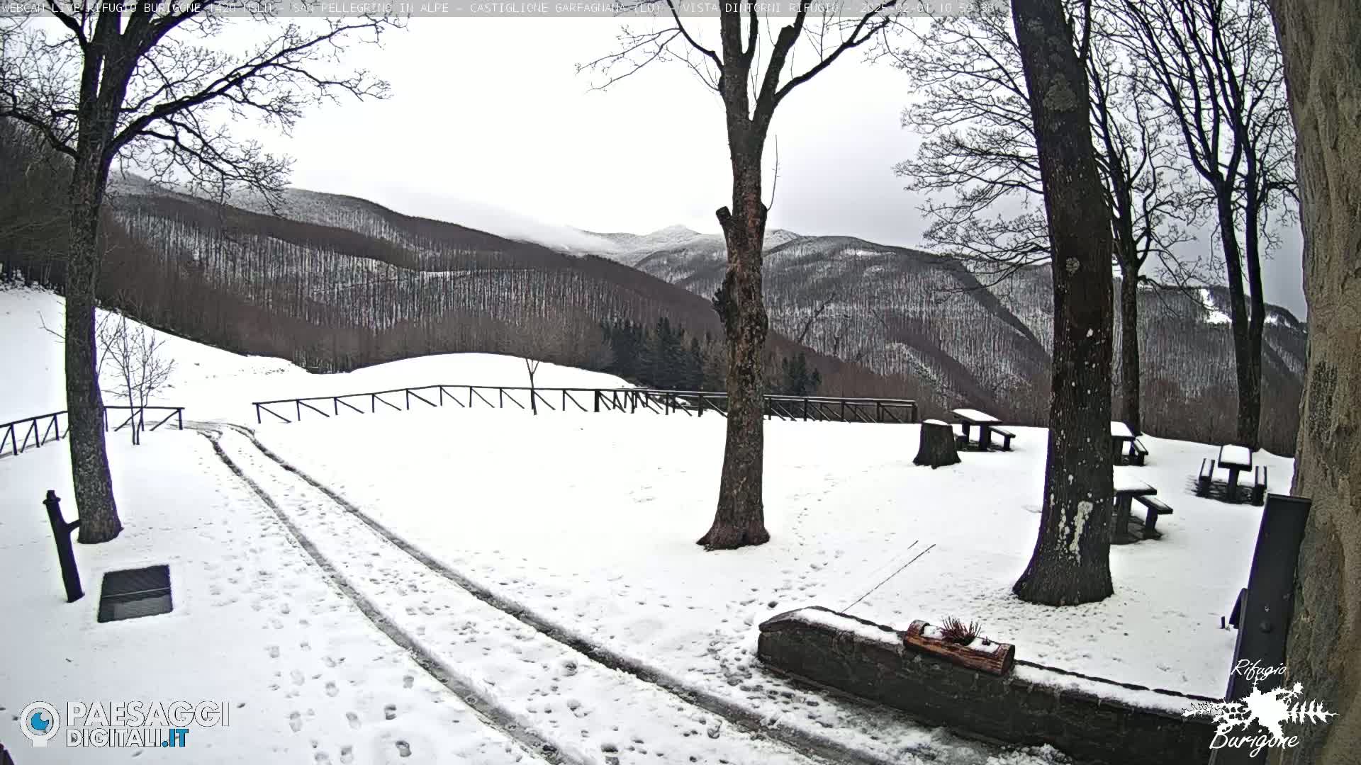 A snow-covered landscape with tire tracks in the foreground, several picnic tables, and bare trees surrounding a view of distant, snow-dusted mountains under an overcast sky.