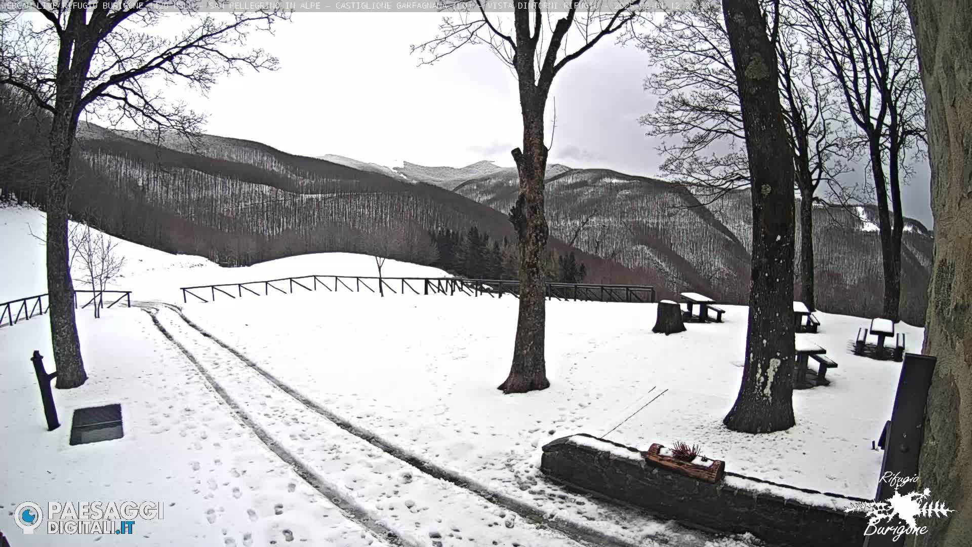 A snow-covered landscape with several picnic tables and a path shows tire tracks in the snow, and a mountain range in the background under an overcast sky.