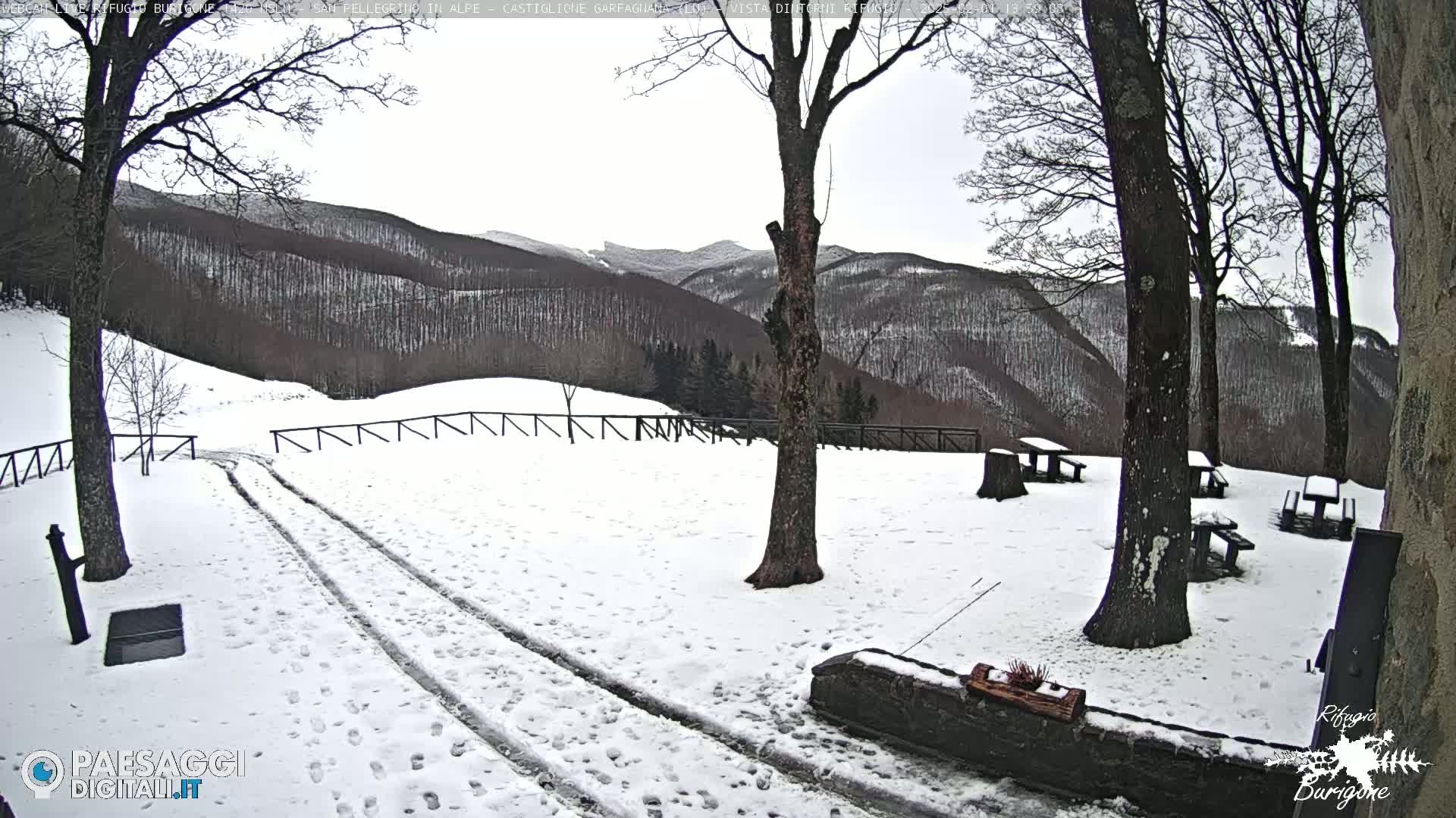 A snow-covered area with tire tracks, picnic tables, and bare trees, overlooking snow-dusted mountains under a cloudy sky.