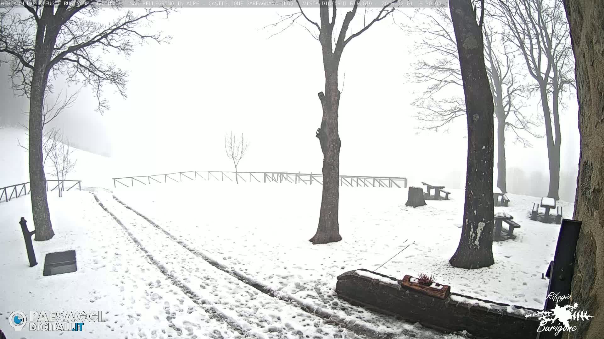 A snowy, foggy scene shows tire tracks in the snow leading to several picnic tables surrounded by leafless trees.