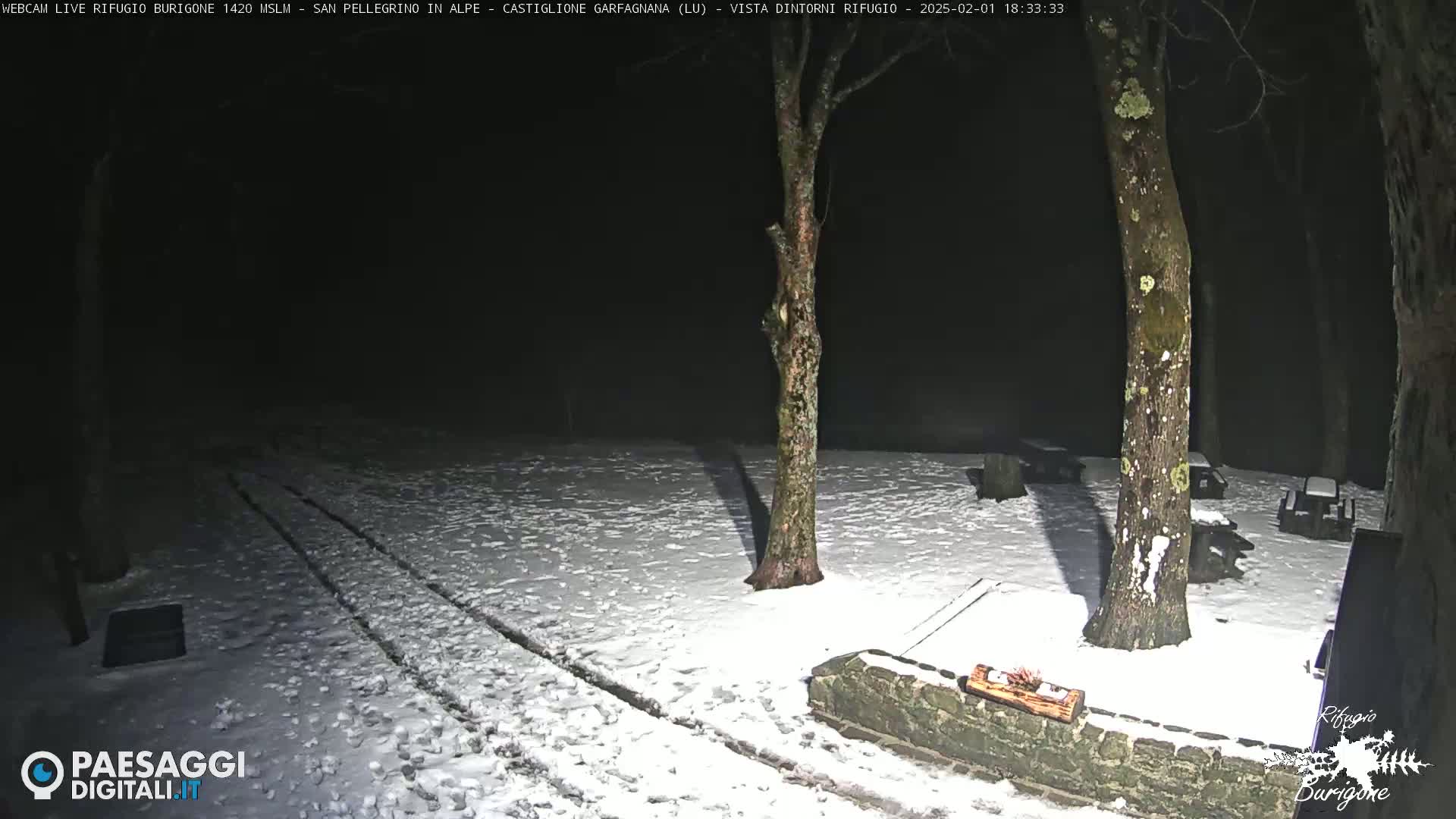 A snow-covered area at night, illuminated by artificial light, shows several trees and some outdoor furniture near a low stone wall.