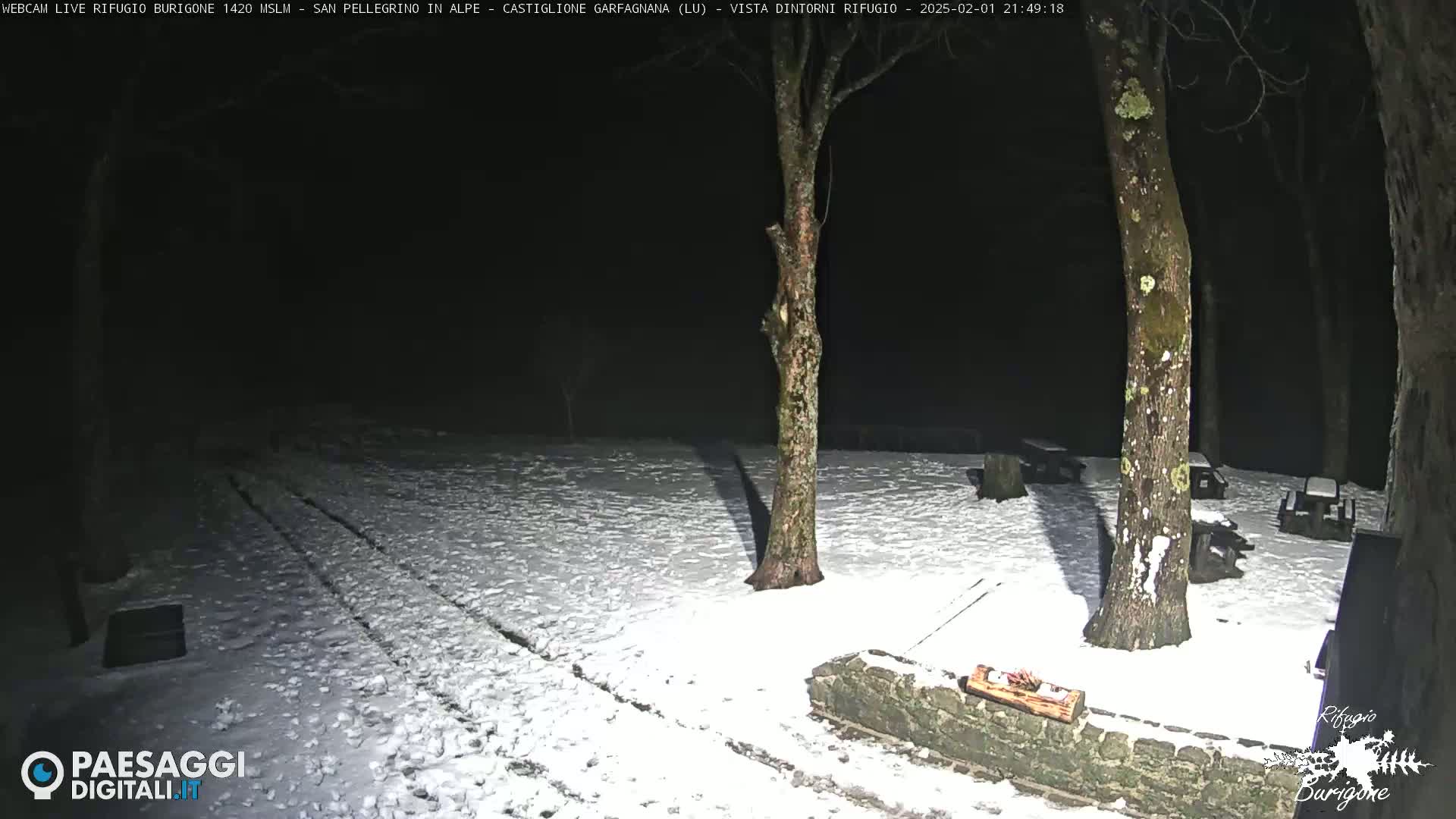 A snow-covered area at night, illuminated by a light source, shows several trees and picnic tables.