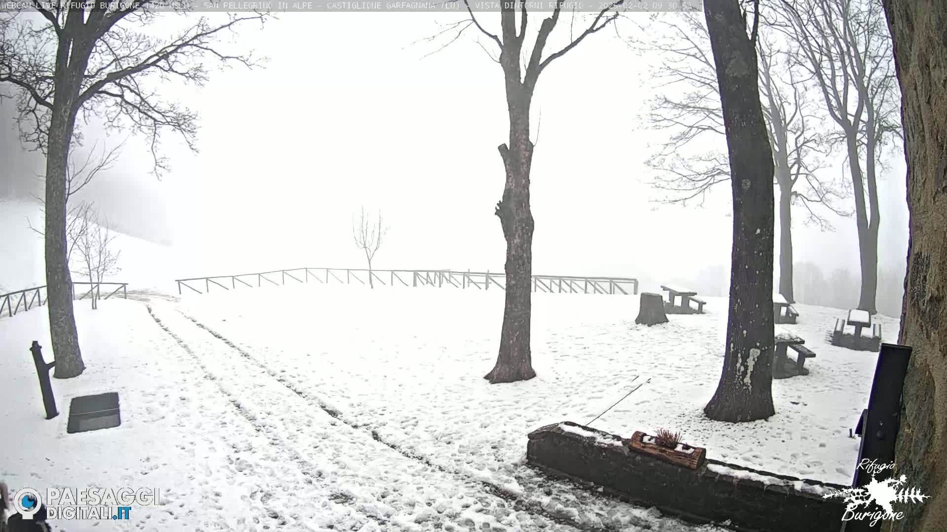 A snow-covered area with several picnic tables and trees under foggy conditions.