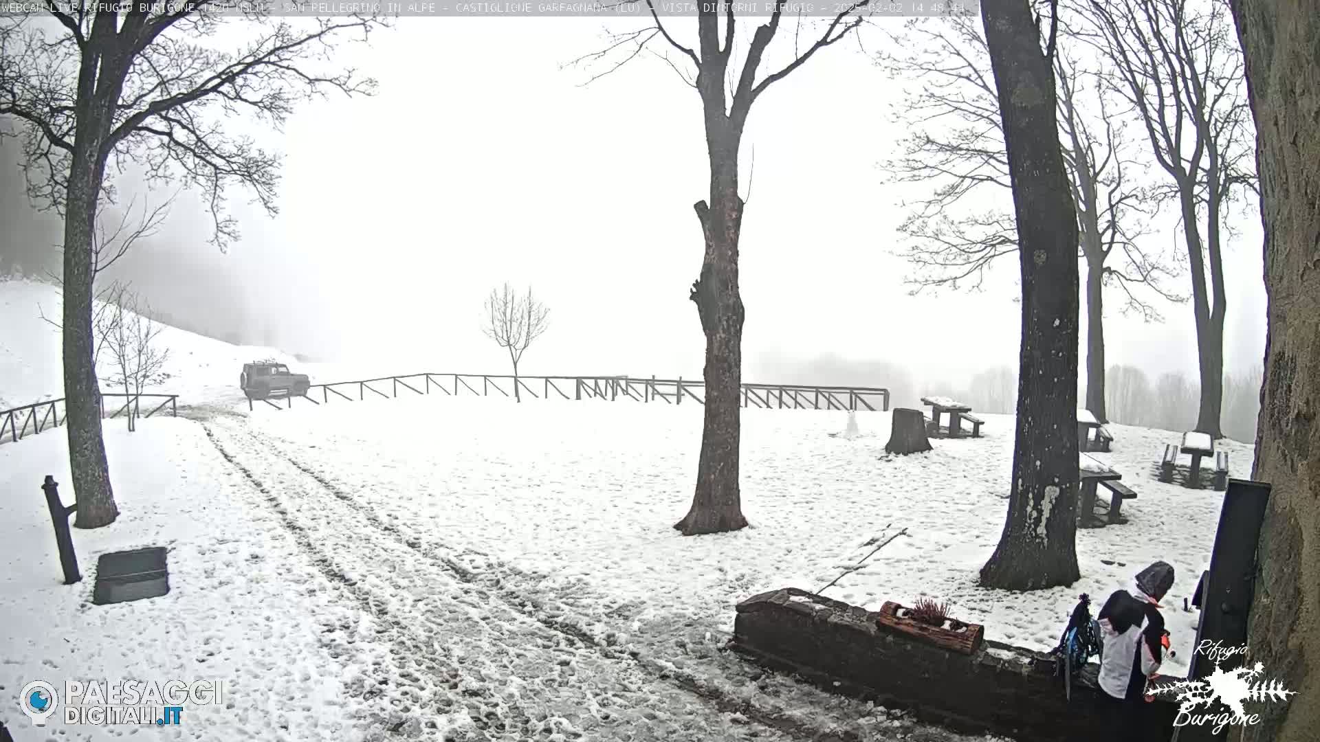 A snow-covered area with several trees, picnic tables, and a vehicle is visible in foggy conditions.