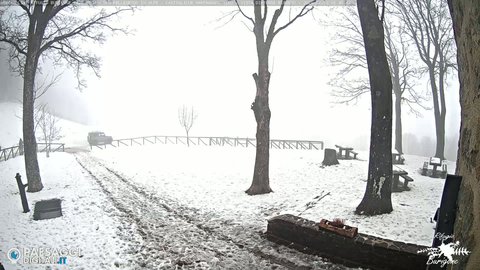 A snow-covered area with several bare trees, picnic tables, and a vehicle driving on a path in foggy conditions.