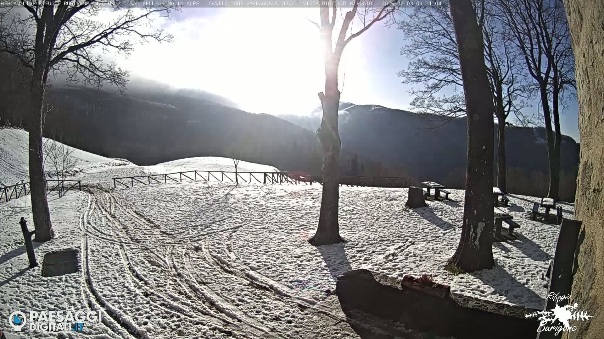 A snow-covered area with several picnic tables and trees, under a bright, sunny sky, overlooks a mountainous landscape.