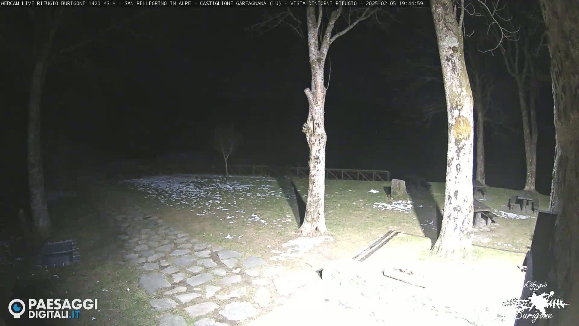 A nighttime view of a snow-dusted grassy area with several trees and picnic tables, illuminated by a light source.