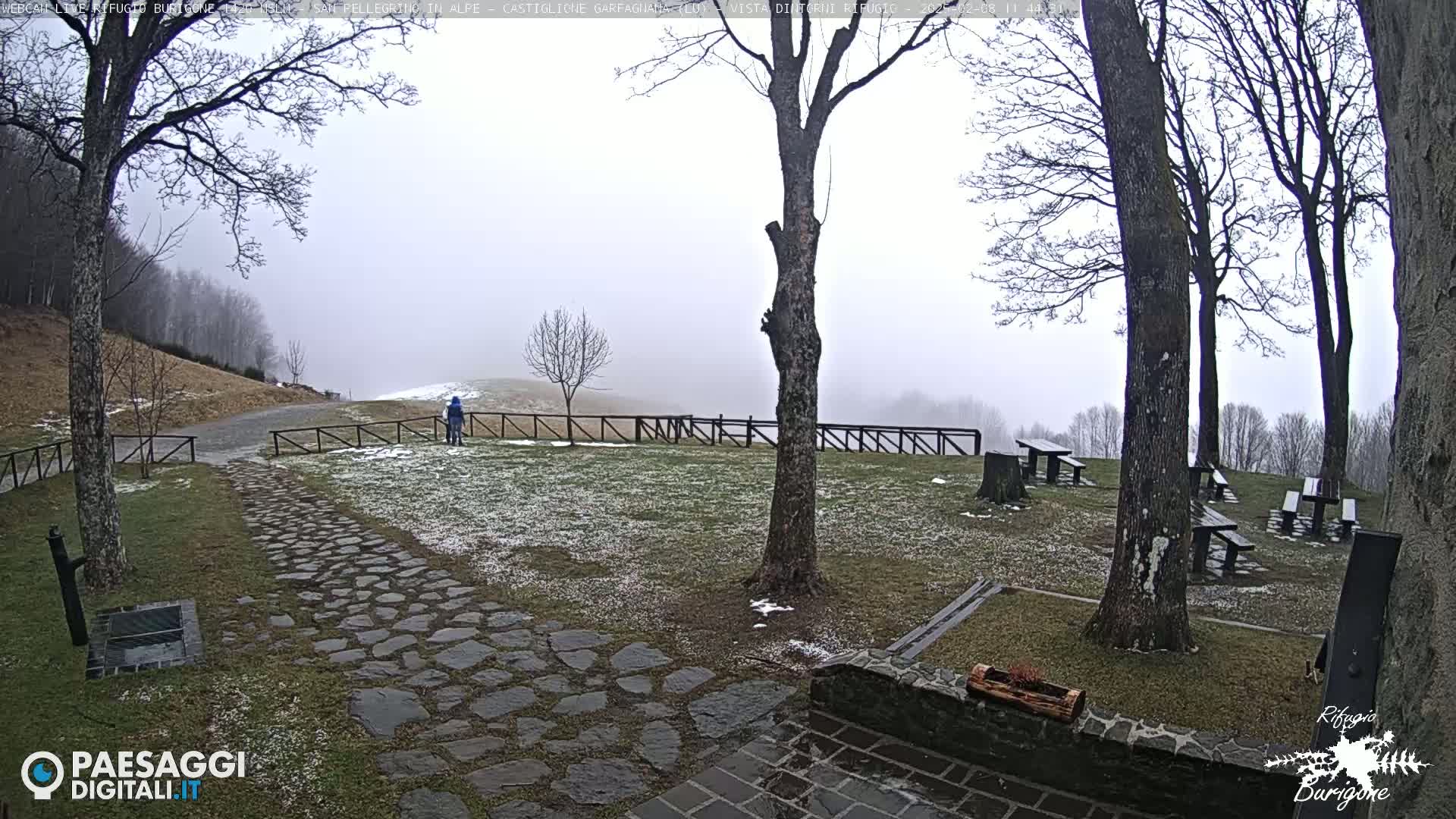 A stone path leads to picnic tables and a fence in a misty, snowy park with bare trees.