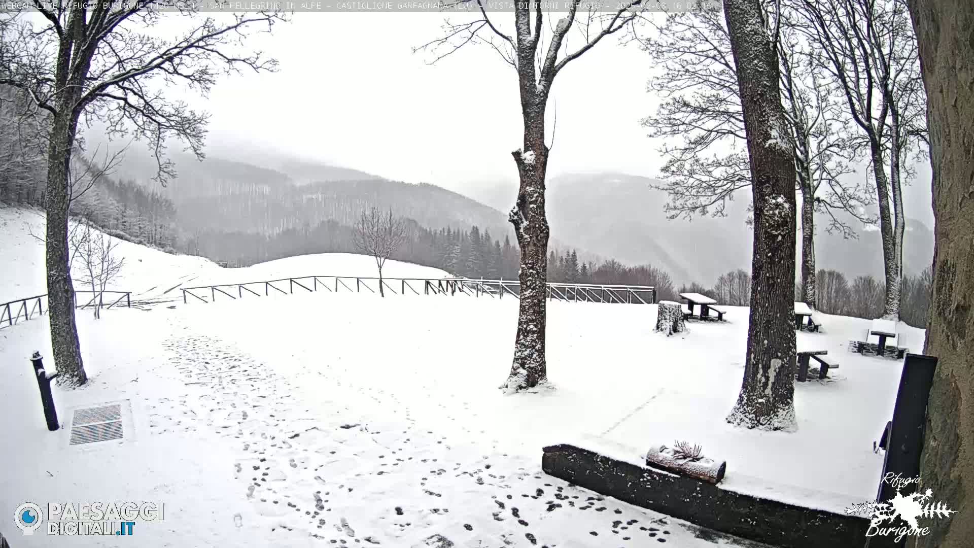 A snow-covered landscape with several picnic tables and trees, overlooking a distant mountain range under a cloudy sky.