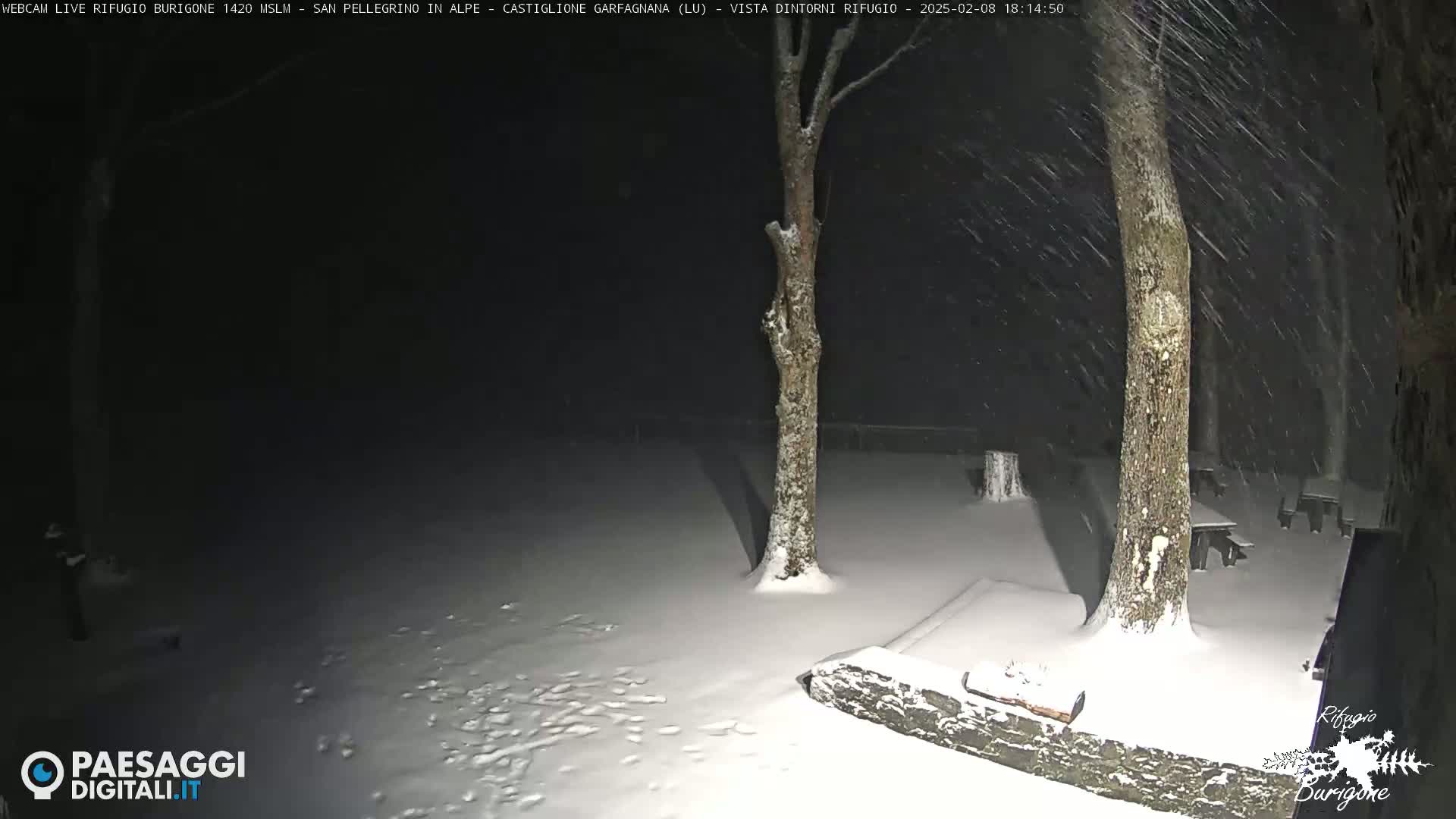 A snow-covered outdoor area at night with two trees, a low stone wall, and several snow-covered picnic tables, under heavy snowfall.