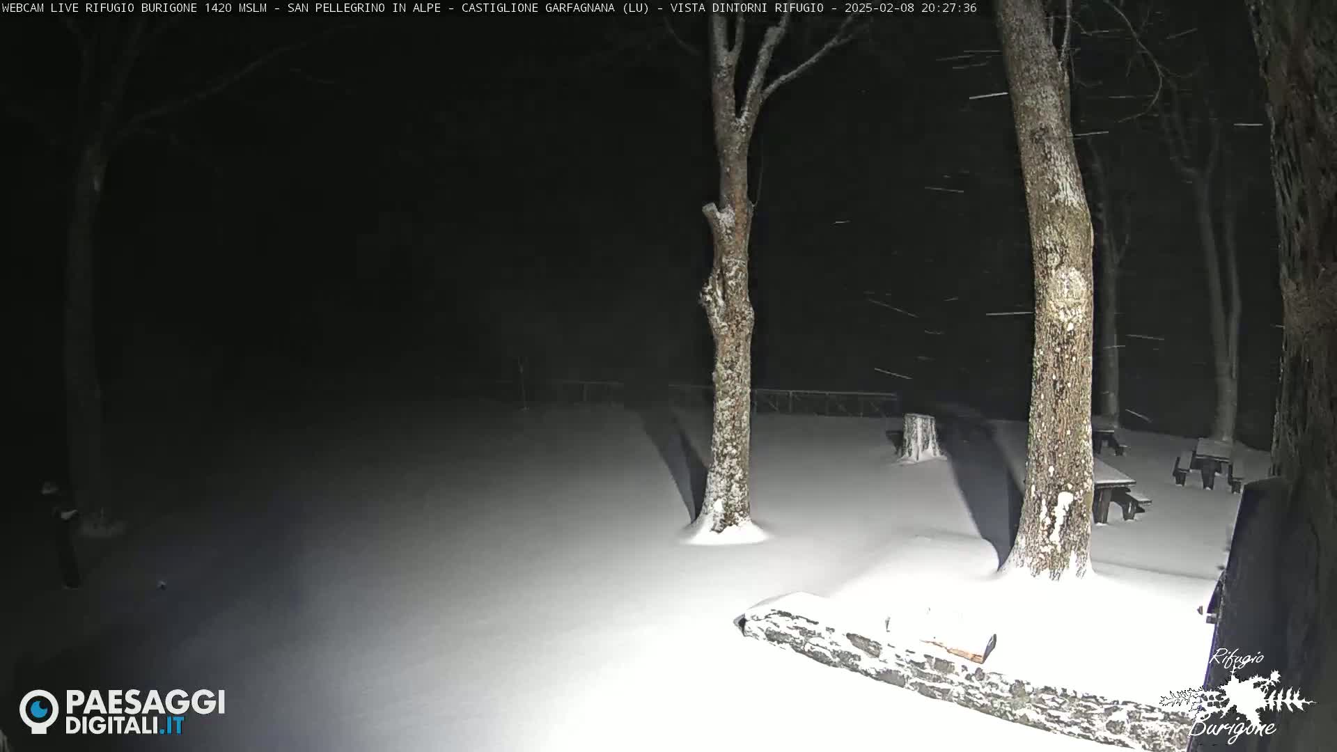 A snow-covered area at night with several trees and picnic tables, under falling snow.