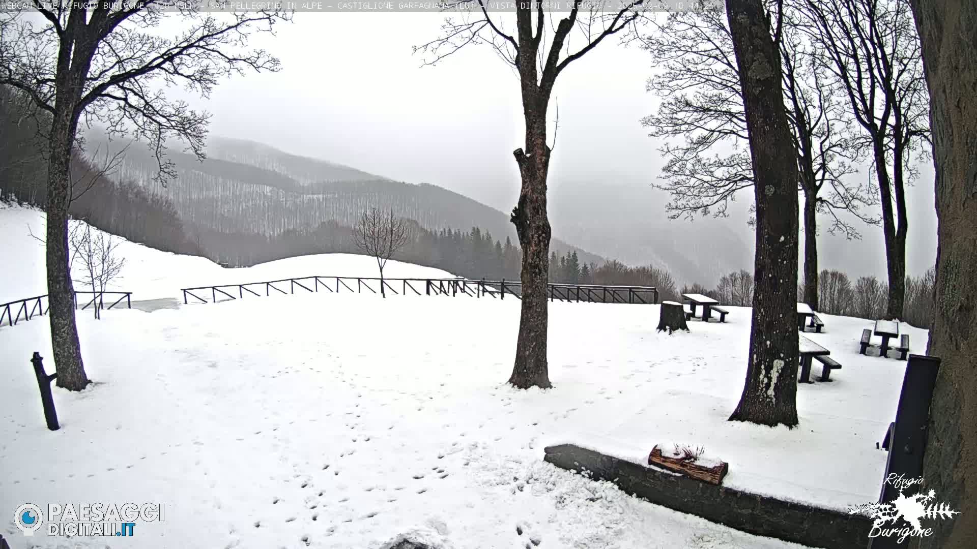 A snow-covered picnic area with several empty tables sits beneath leafless trees overlooking a hazy, snow-dusted mountain range.