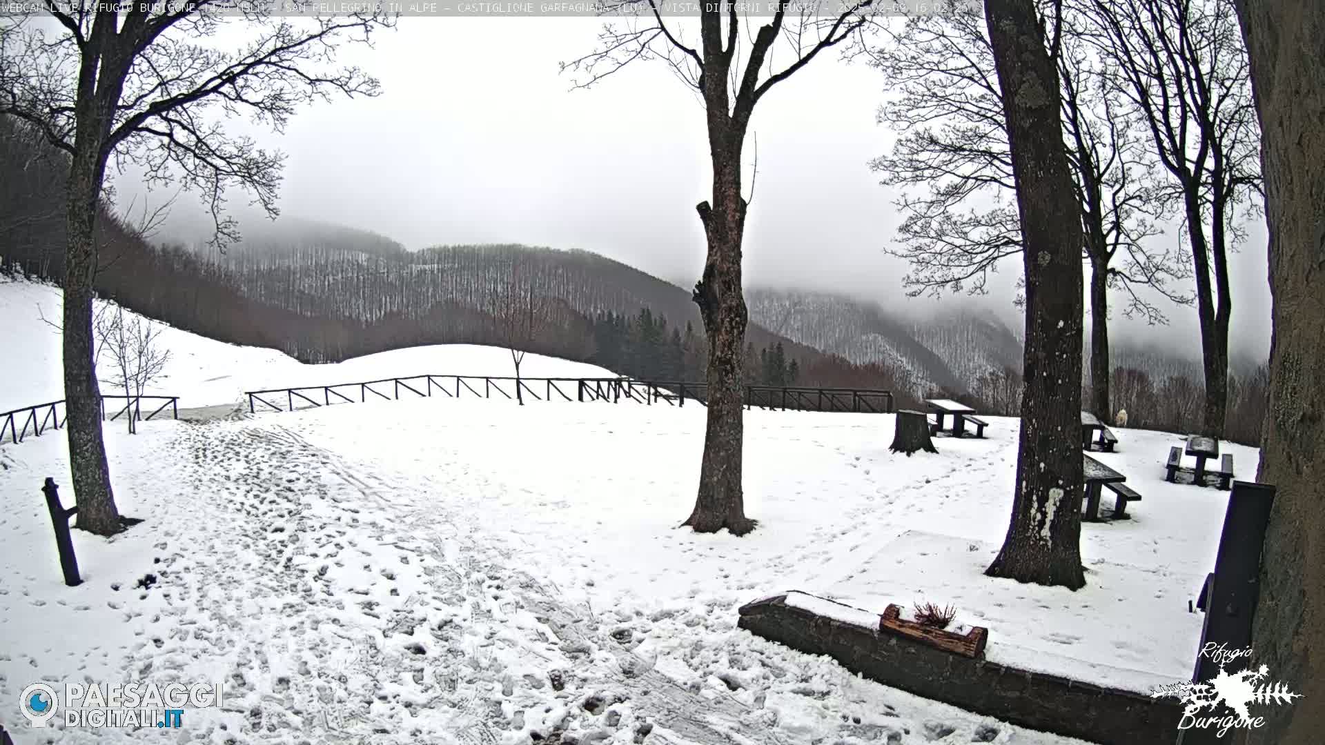 A snow-covered area with several picnic tables and trees, overlooking a misty, snow-dusted mountain range.