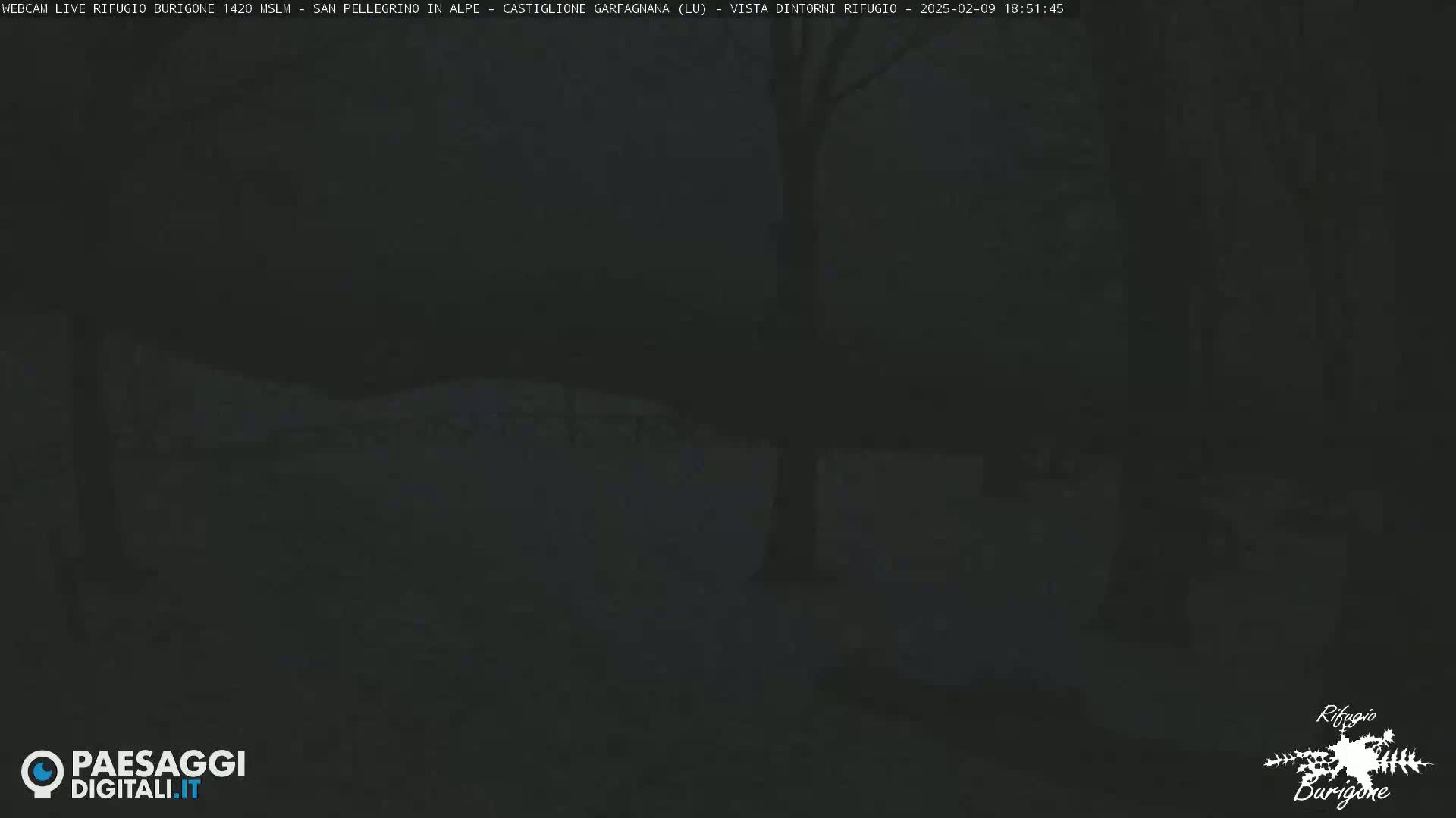A dark, nighttime outdoor scene shows snow-covered ground and silhouetted trees under a dusky sky.