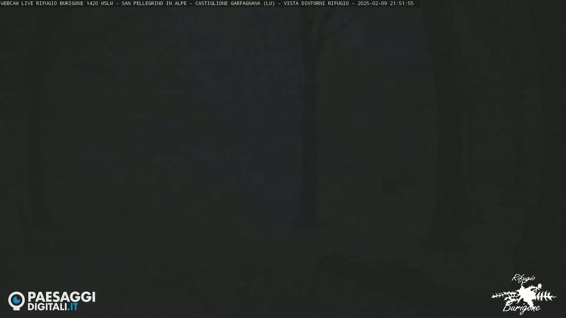 A very dark, nighttime outdoor scene is mostly obscured by darkness.