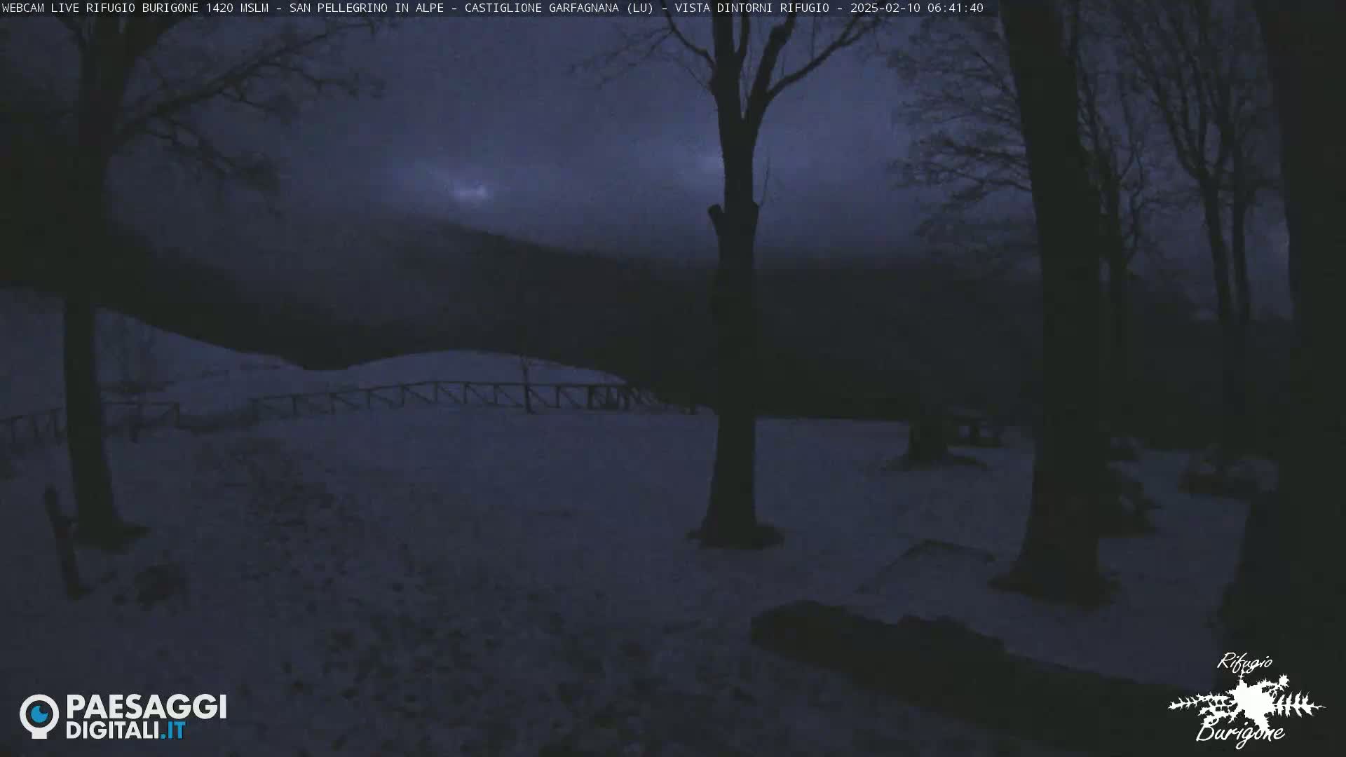 A snow-covered landscape at night is seen through the silhouettes of leafless trees, under a dark, overcast sky.