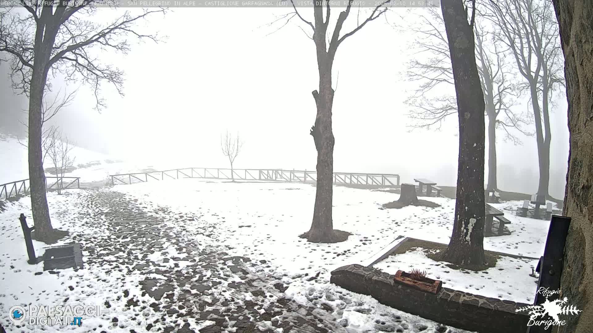A snow-covered stone path winds through a foggy, wooded area with several picnic tables and trees.