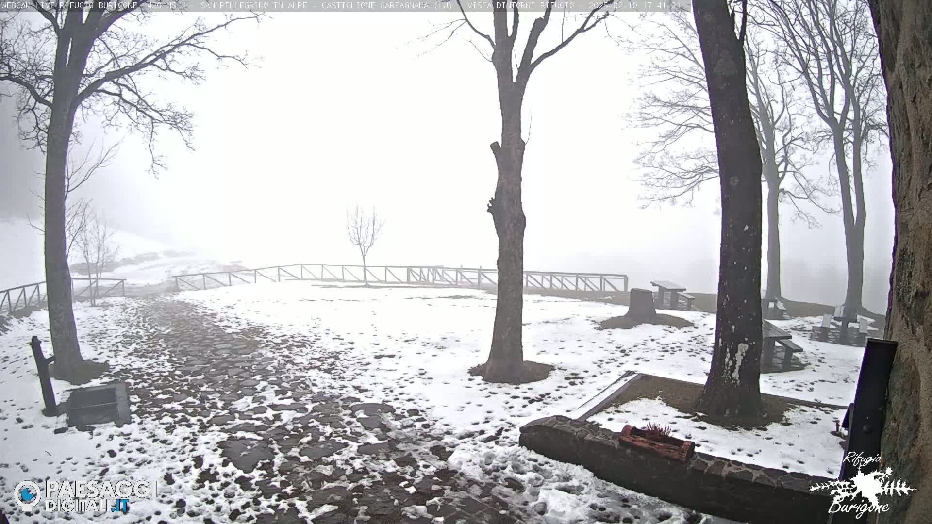 A snow-covered stone path winds through a foggy, wooded area with several picnic tables.