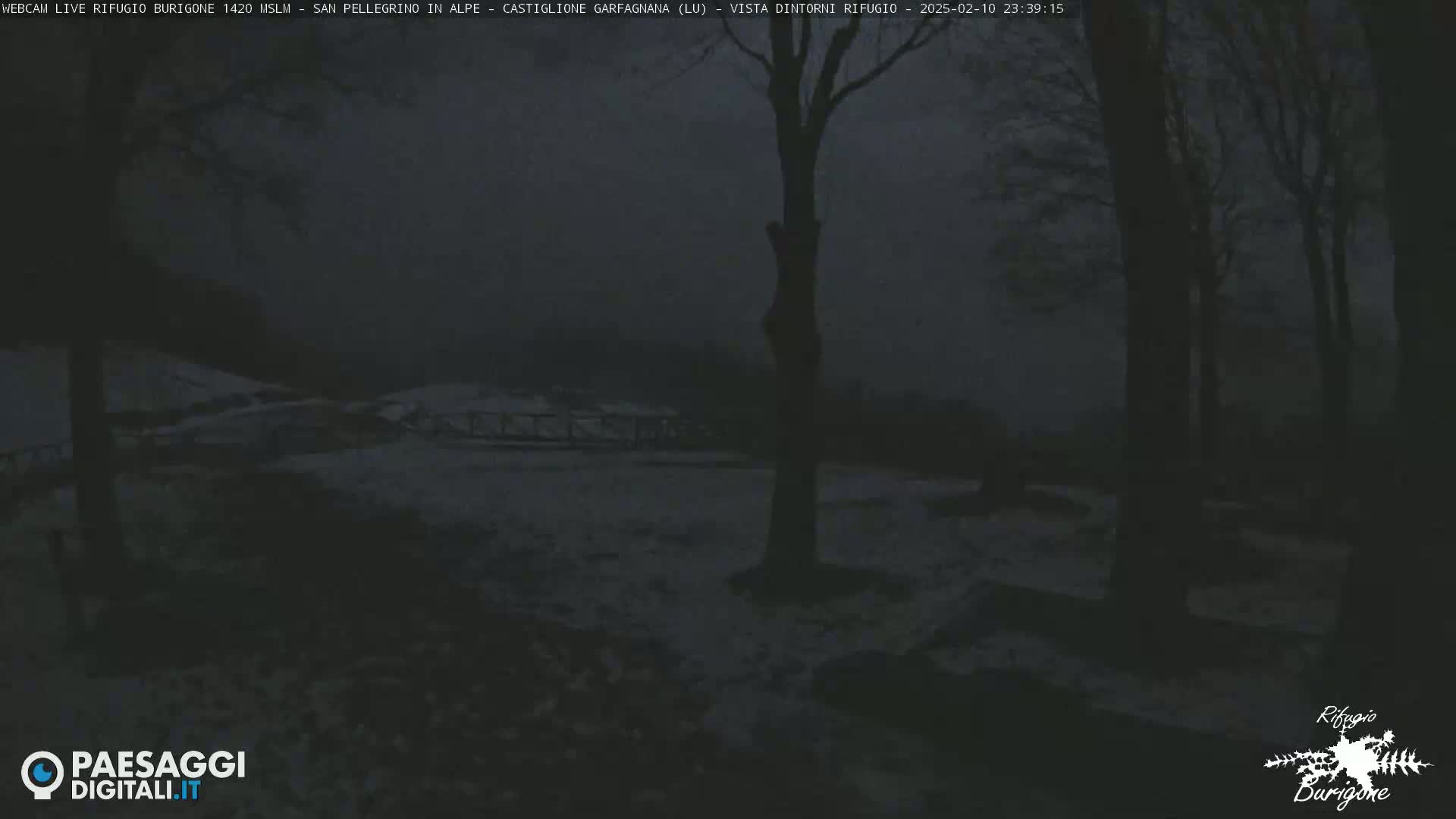 A snow-covered landscape is visible at night under a dark, hazy sky, with several tree trunks in the foreground.