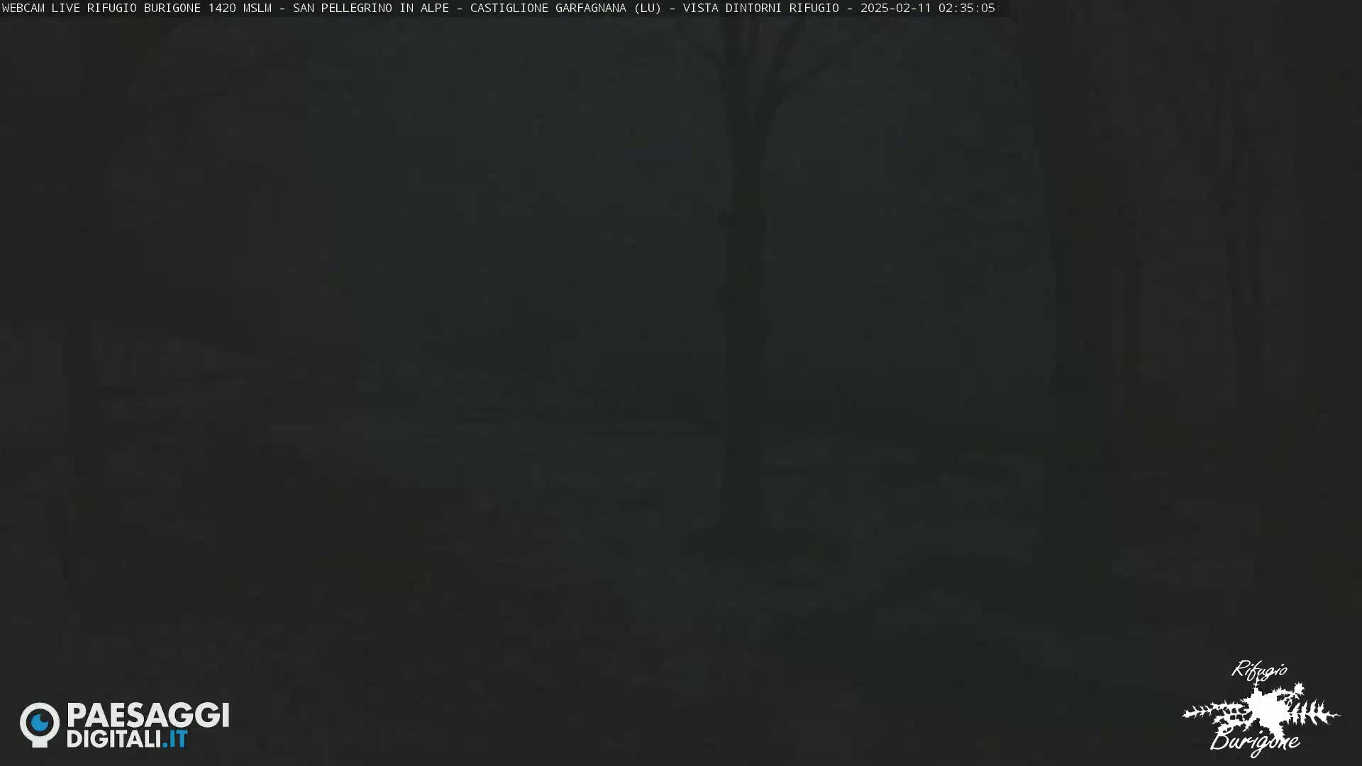 A dark, blurry image shows a mostly obscured wooded area in low-light conditions.