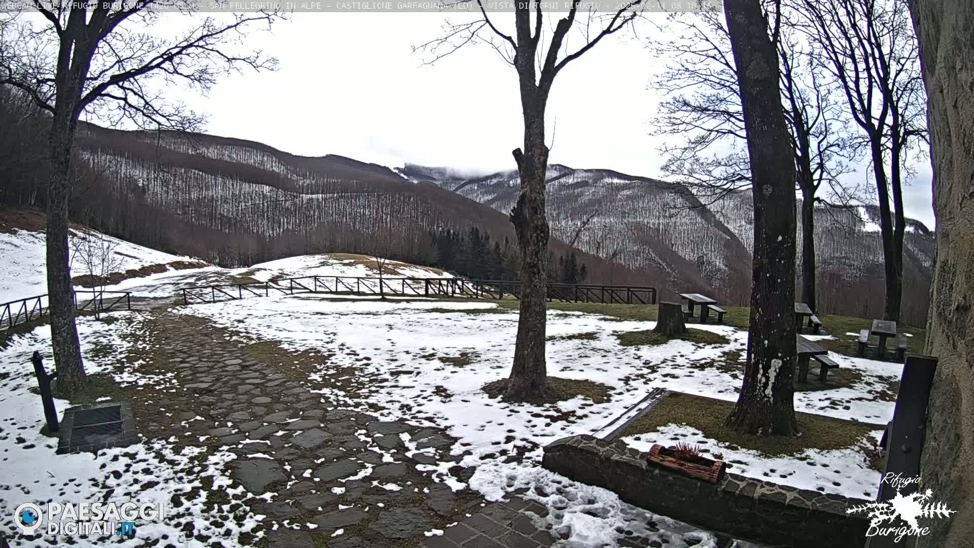 A snow-covered stone pathway and picnic area with several benches are nestled among leafless trees, overlooking a mountain range partially shrouded in mist.