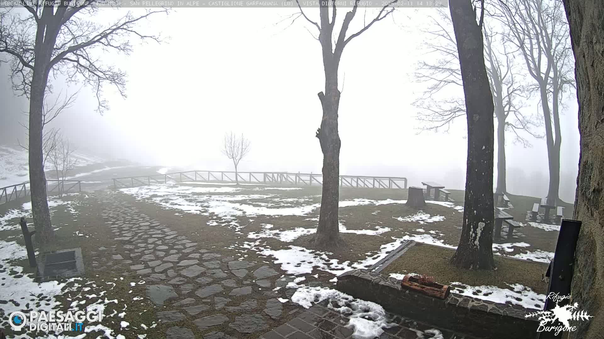 A stone path and picnic area with scattered snow under a foggy sky are surrounded by bare trees.
