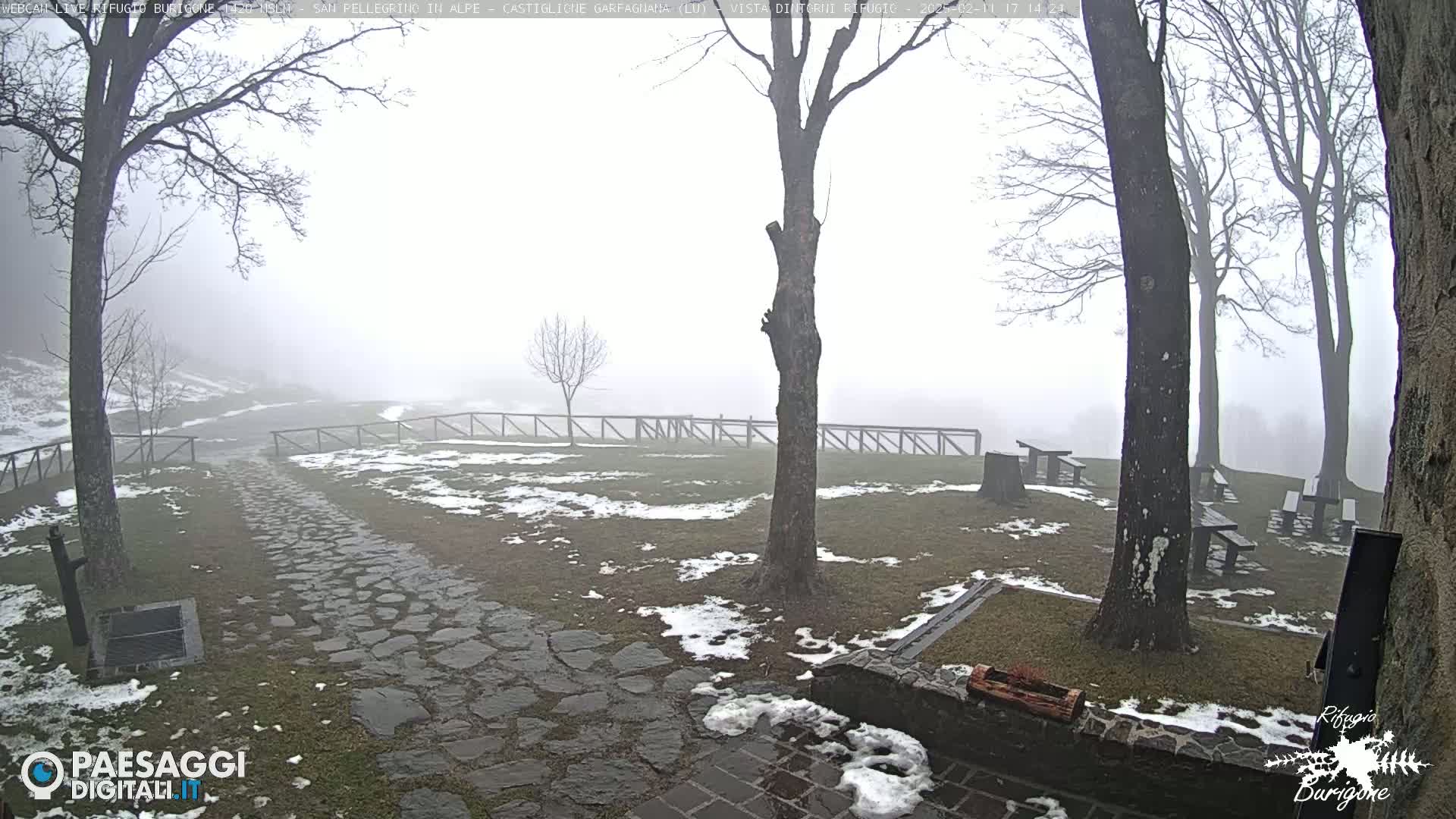A foggy, snowy landscape with a stone path, several bare trees, and wooden picnic tables.
