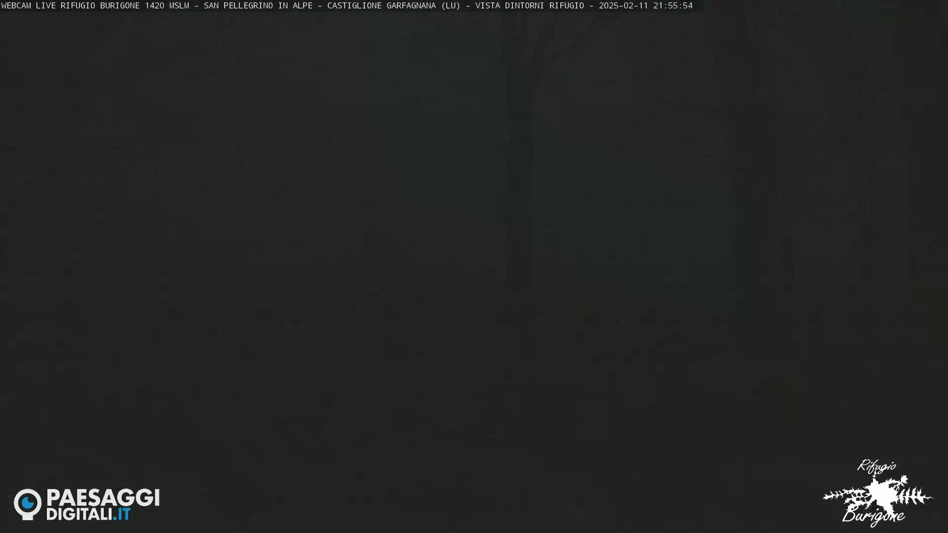 A dark, foggy scene is visible, obscuring any details of the landscape.