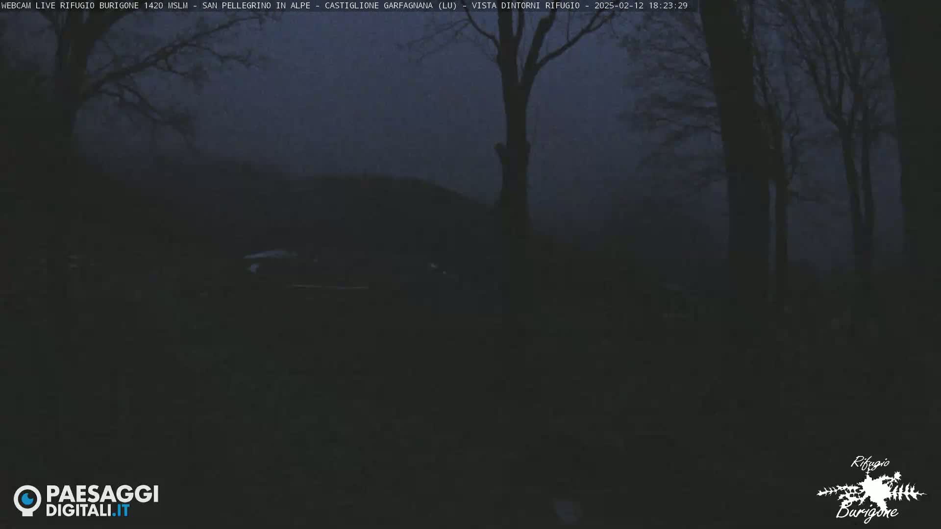 A dark, nighttime scene shows a few bare trees and a hill in the distance under a dusky sky.