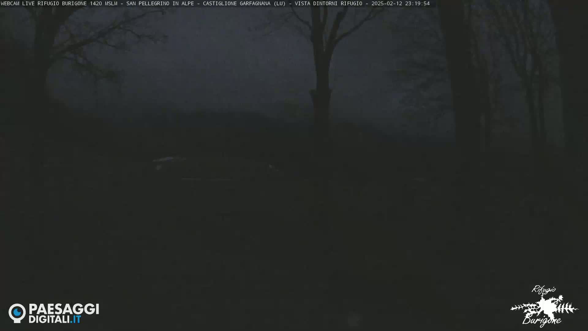 A dark, nighttime scene of a wooded area with a few trees visible, under a cloudy sky.