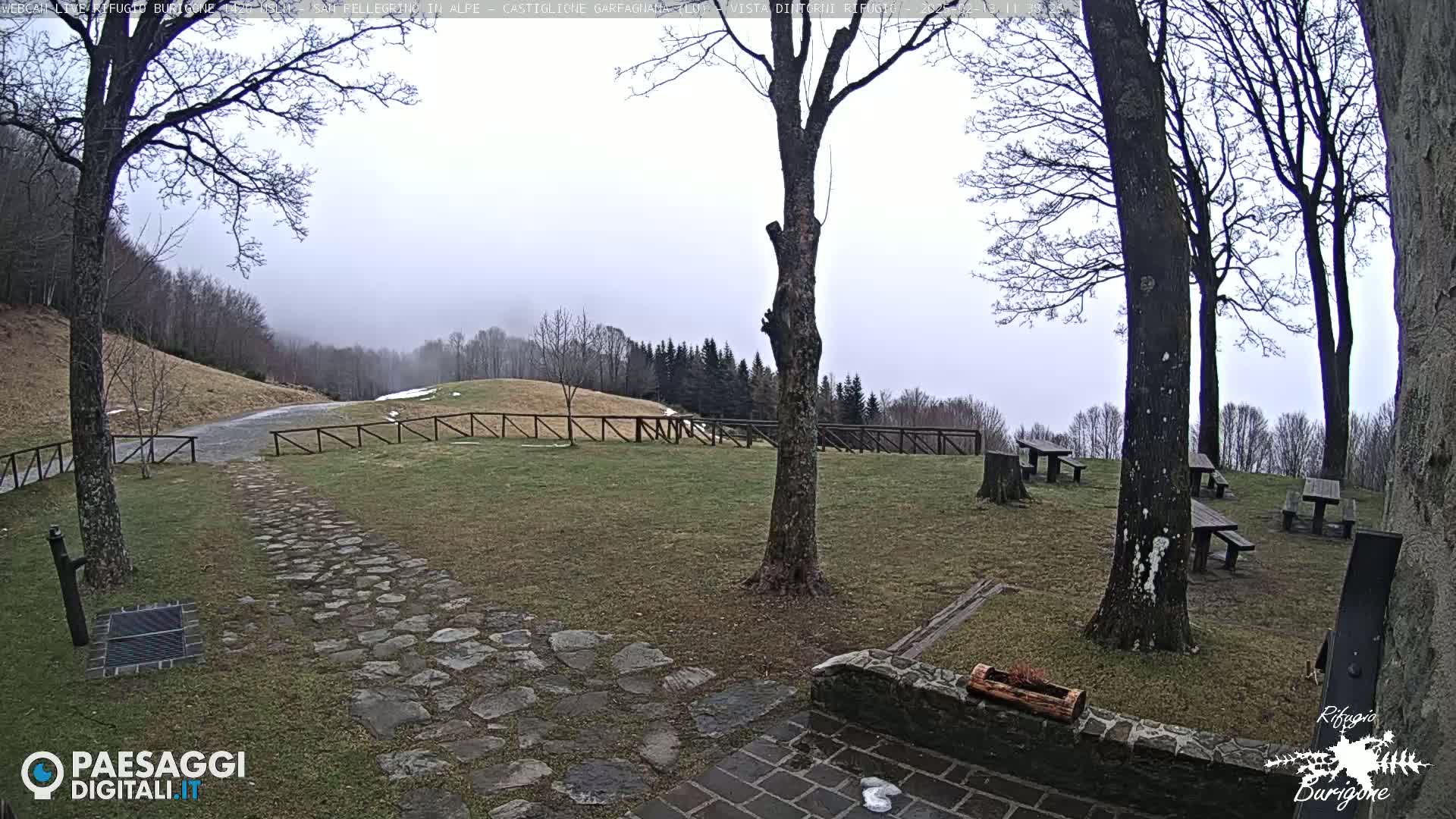 A stone path leads to picnic tables situated in a grassy area under bare trees on a foggy day, with a wooden fence bordering a hillside in the background.