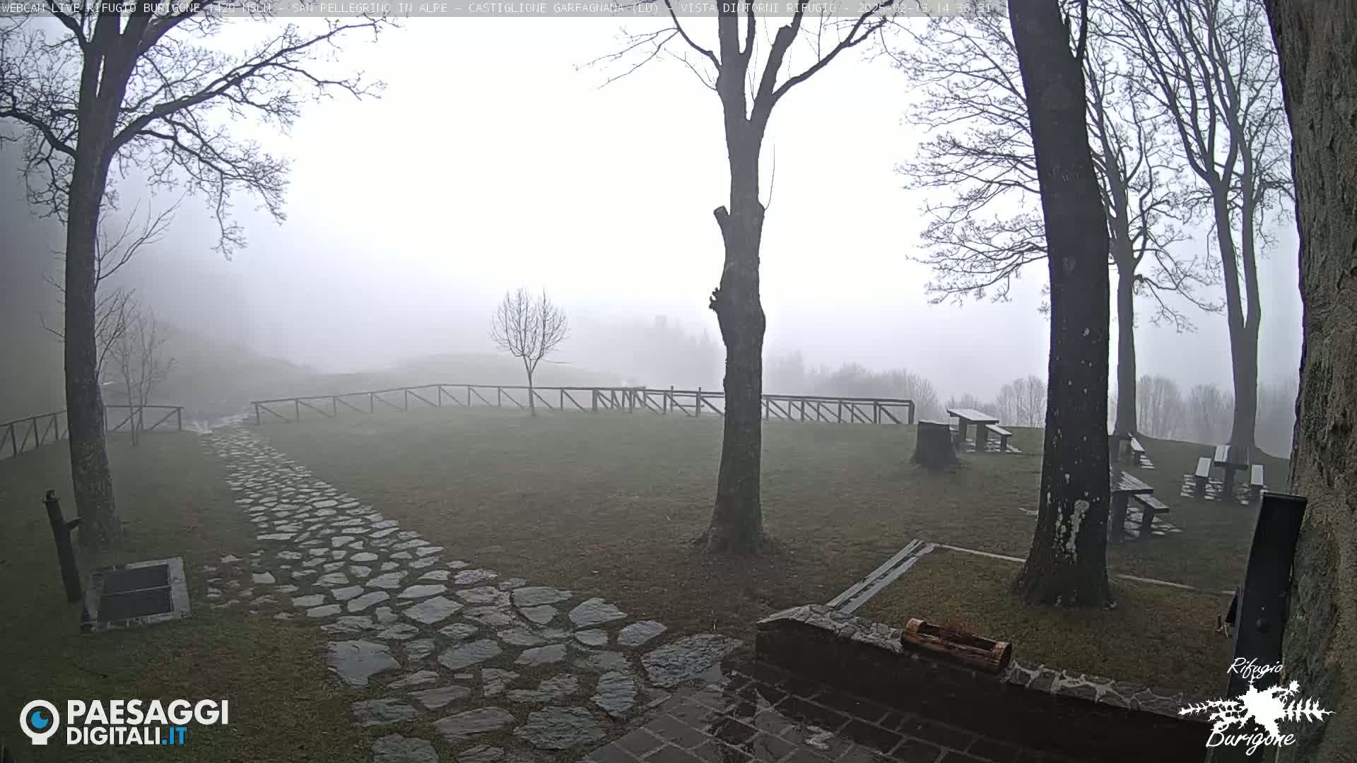 A stone path leads to picnic tables and bare trees in a foggy, outdoor setting.