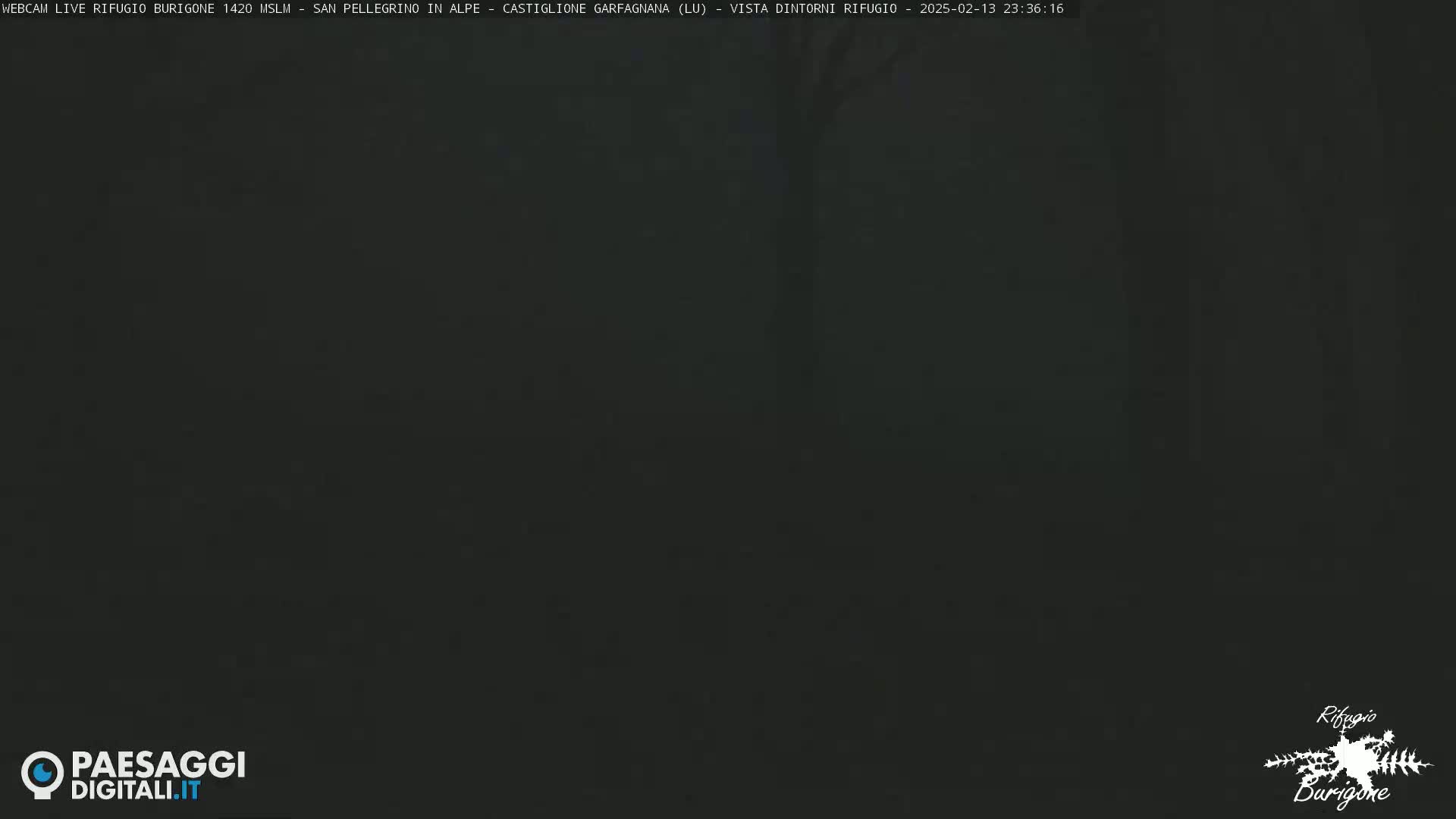 A dark, nighttime outdoor scene is shown, with very poor visibility.