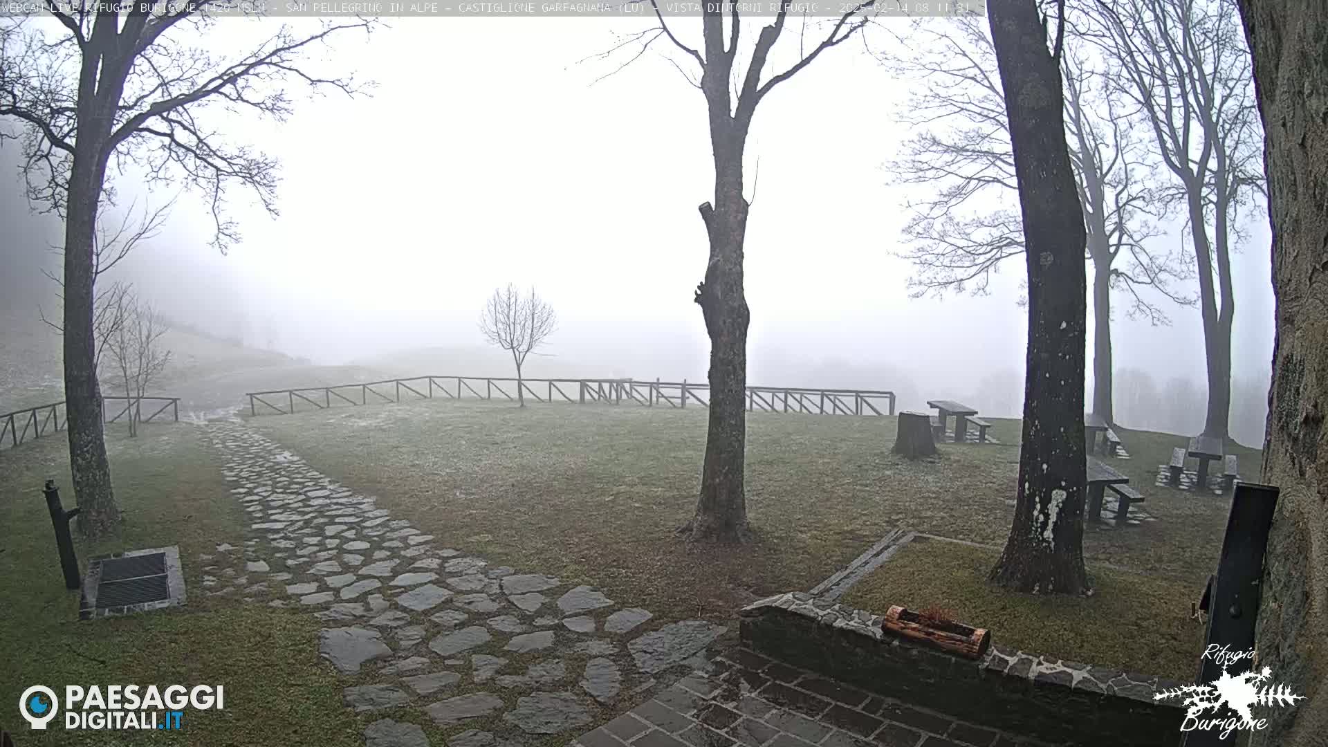 A stone path leads to picnic tables situated on a grassy area surrounded by leafless trees in foggy weather.