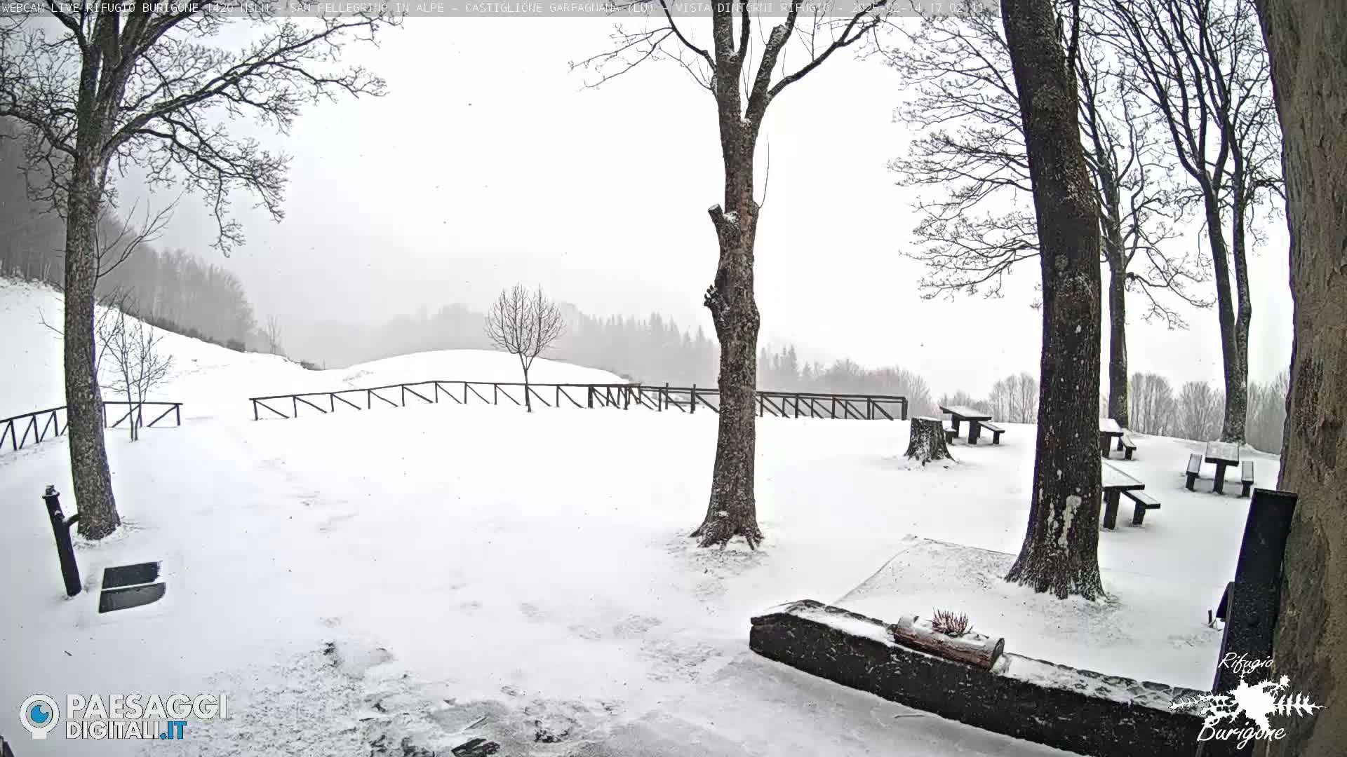 Snow falls on a snow-covered picnic area with several wooden picnic tables and trees, a wooden fence, and a distant view of a wooded hillside.