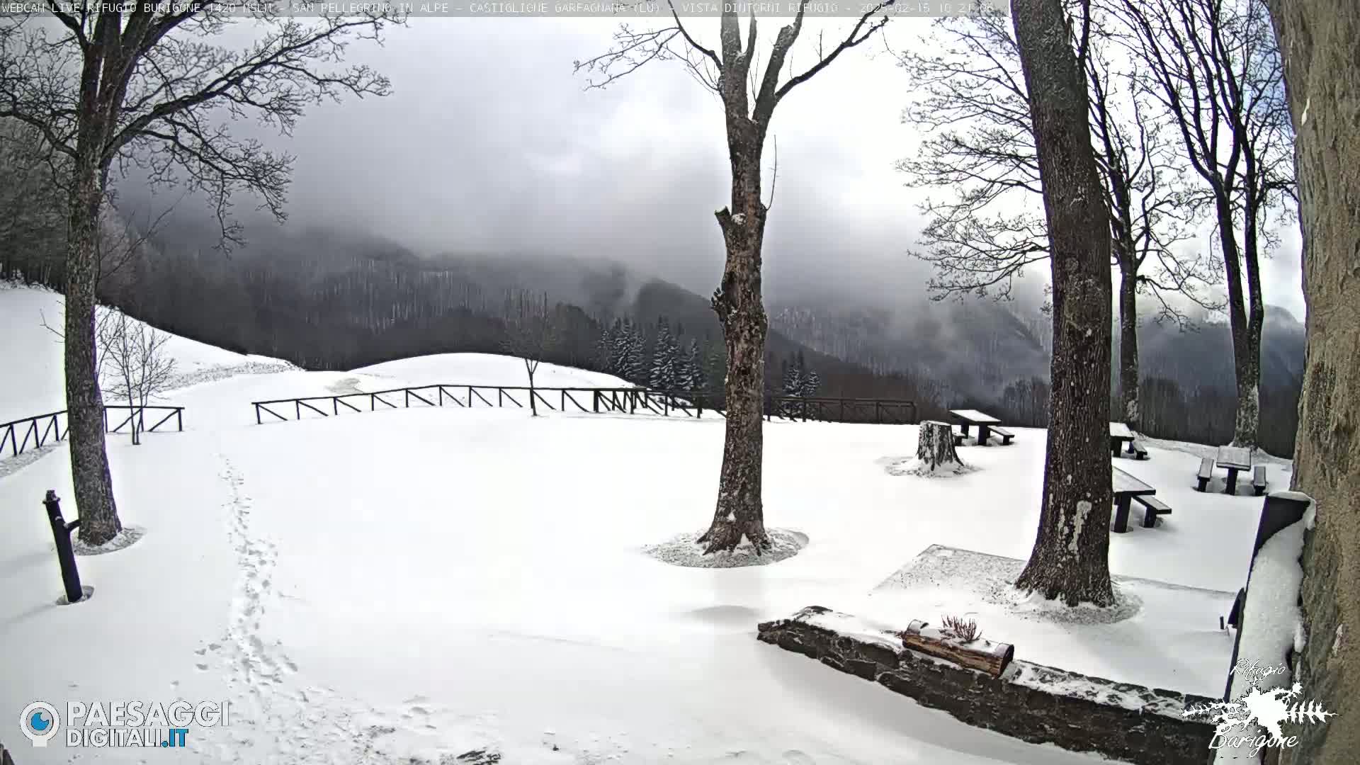 A snow-covered picnic area with several empty picnic tables and bare trees sits before a foggy mountain range.