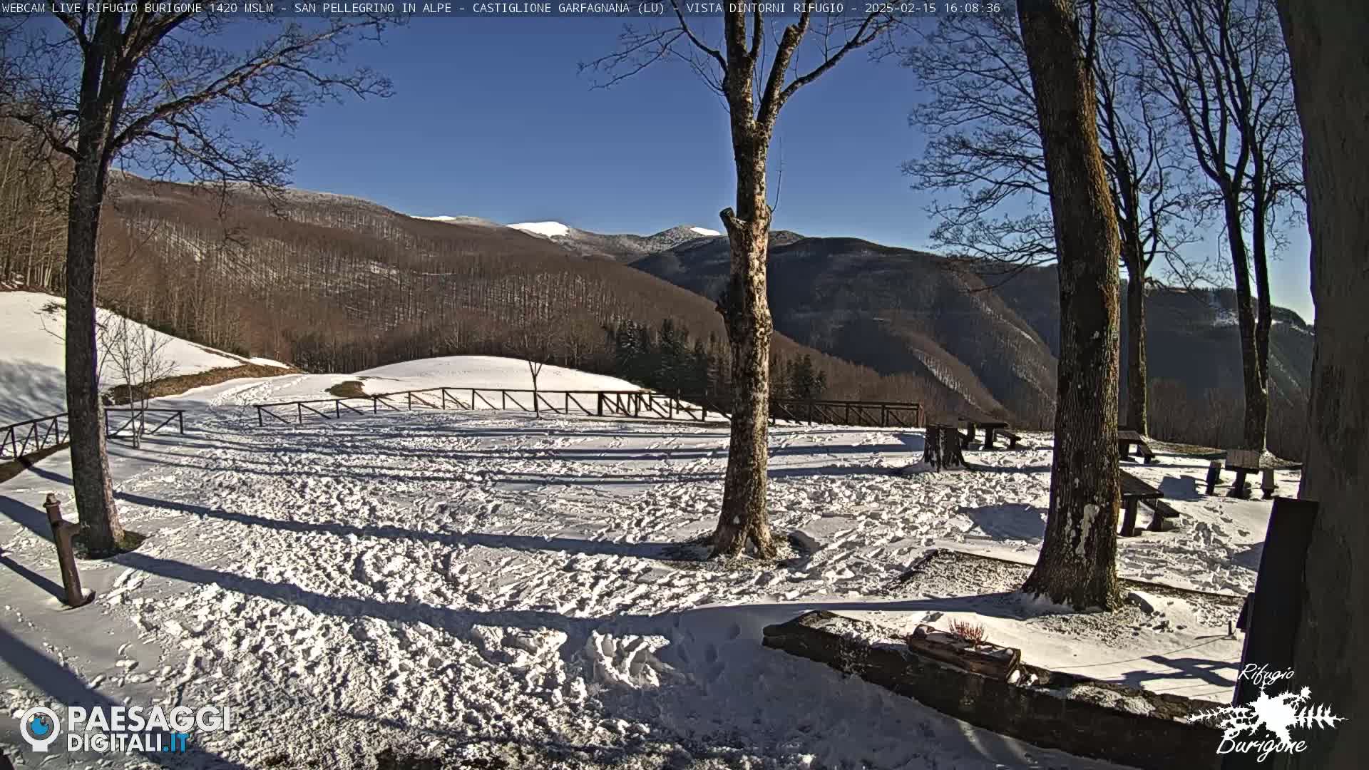 A snow-covered picnic area with several wooden picnic tables is situated amongst bare trees, overlooking a mountainous landscape under a clear blue sky.