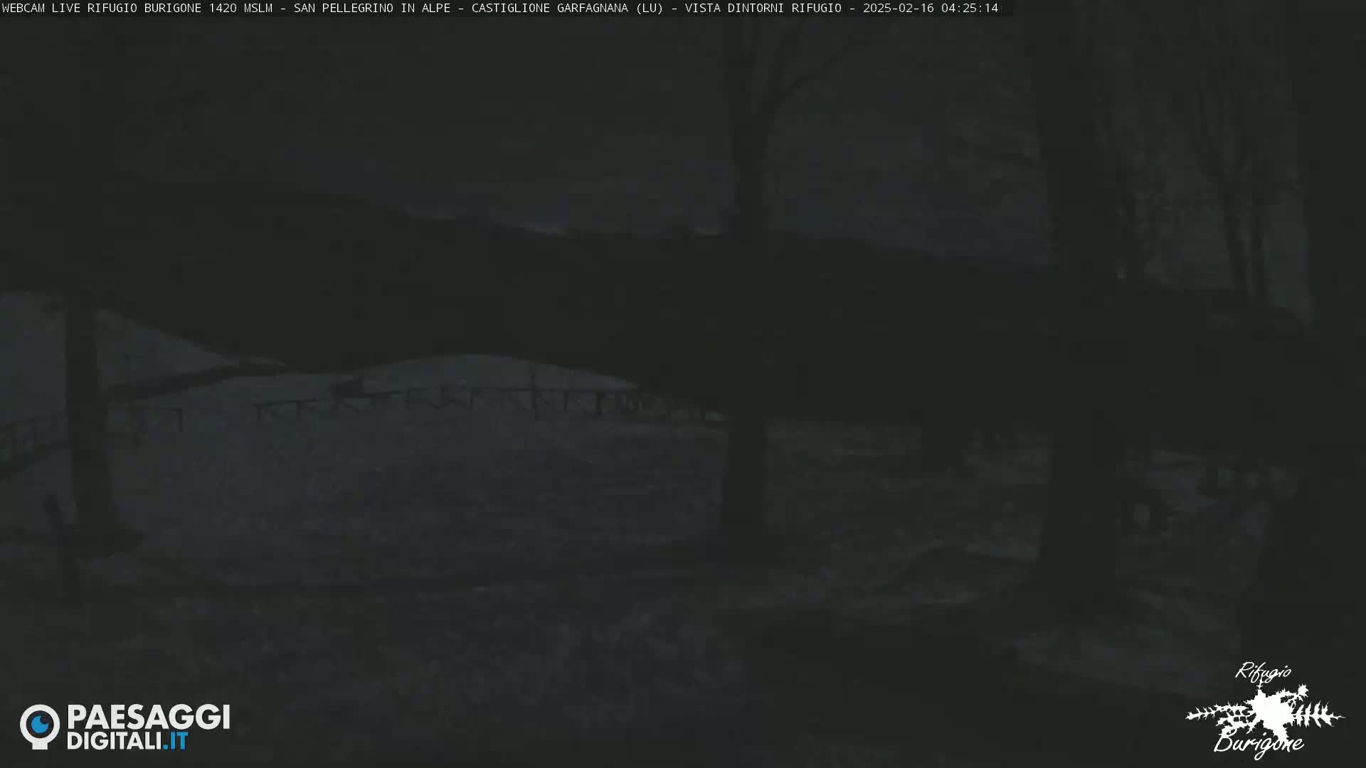 A dark, snowy landscape is visible at night, with leafless trees in the foreground.