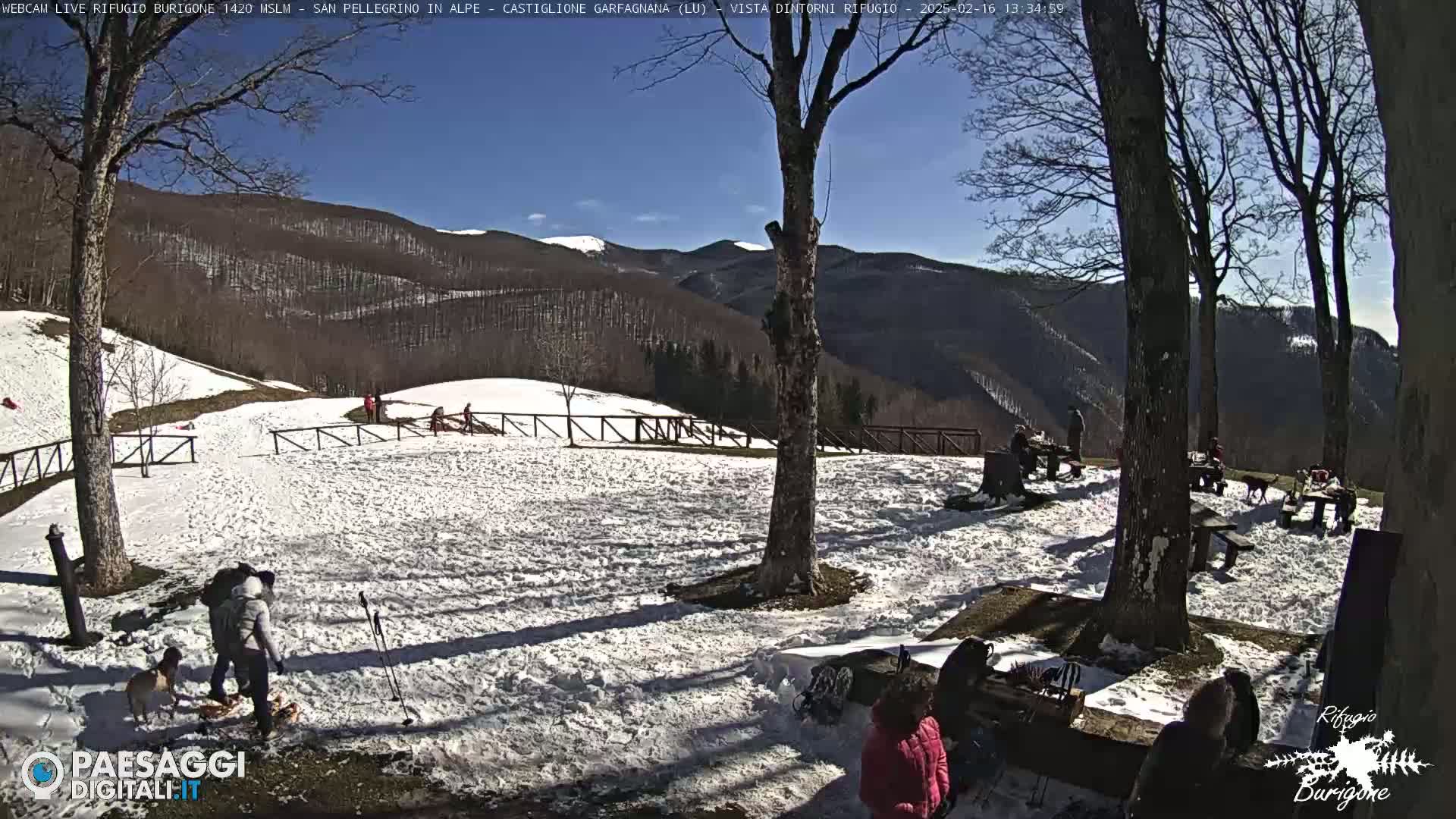 A snow-covered area with several people and dogs, picnic tables, and trees, set against a background of mountains under a sunny sky.