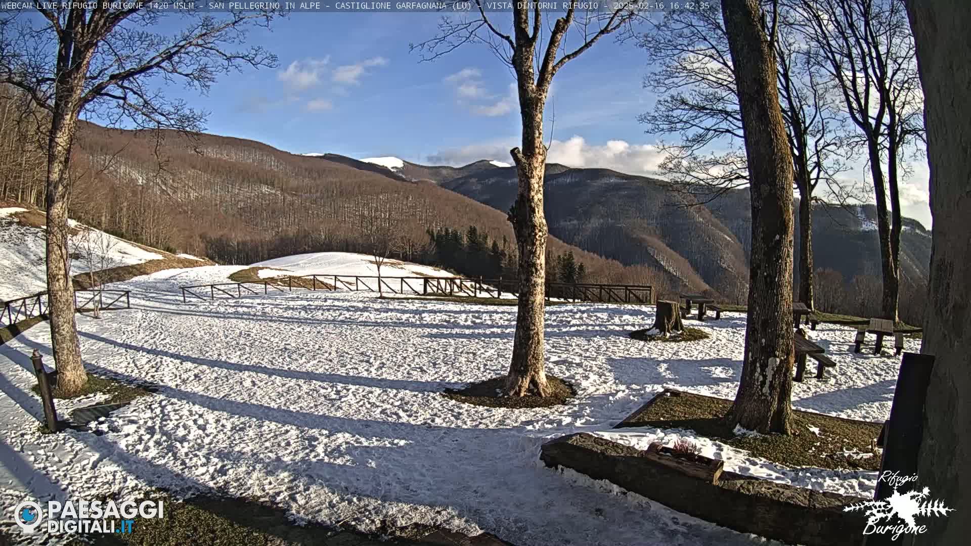 A snow-covered area with several trees and wooden benches, offering a view of distant snow-capped mountains under a mostly sunny sky.