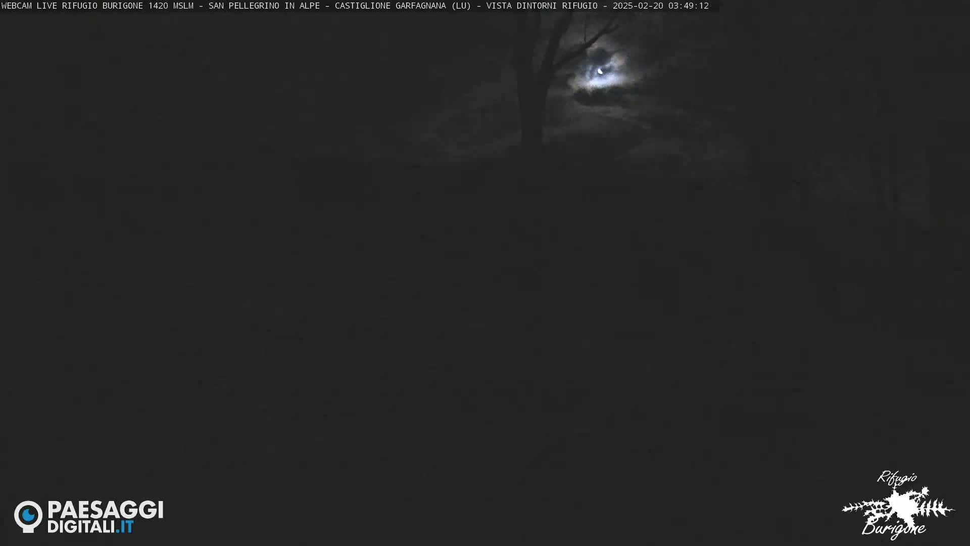 A nighttime view of a mostly dark landscape with a partially visible moon and a silhouetted tree under a cloudy sky.